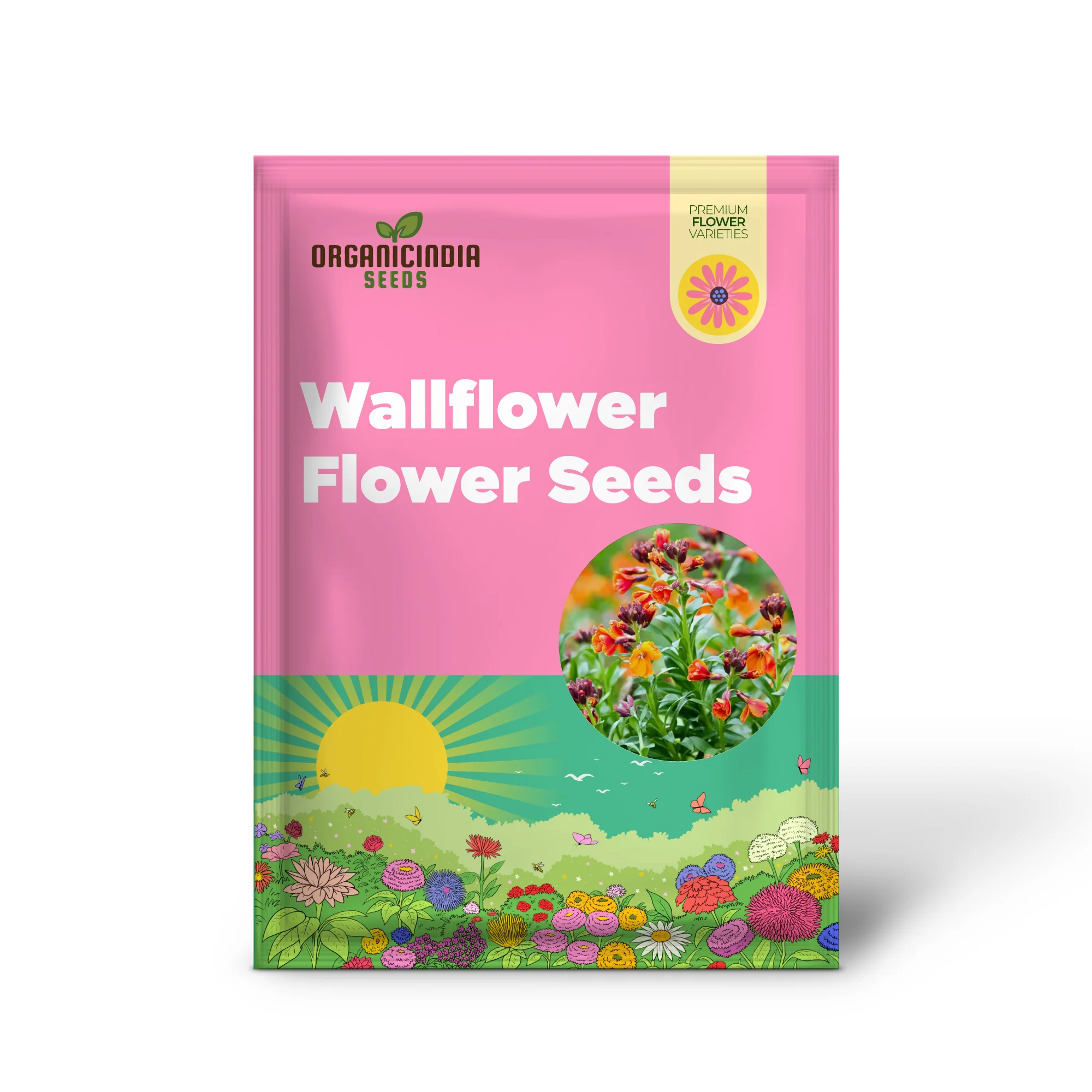 Wallflower Fire King Flower Seeds For Planting, Bold and Fiery Red Wallflowers for a Striking Garden Display - Image 2