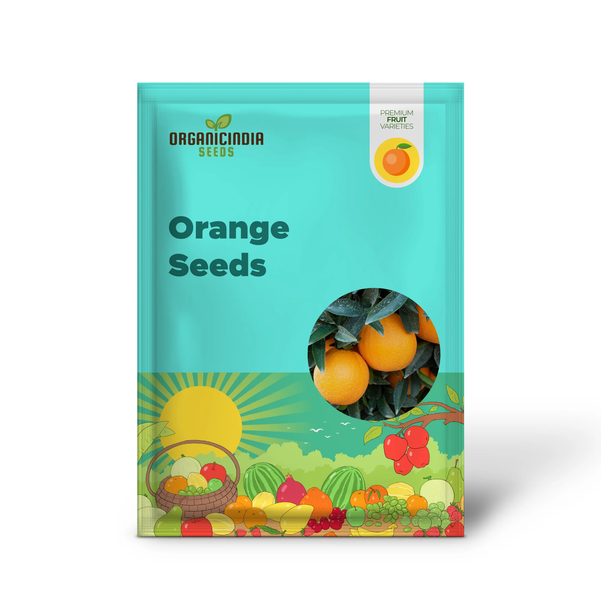 Washington Navel Orange Seeds - Exceptional Sweetness, Seedlessness, Easy-to-Peel Skin, Juicy & Tender Flesh - 10 Pcs - Image 2