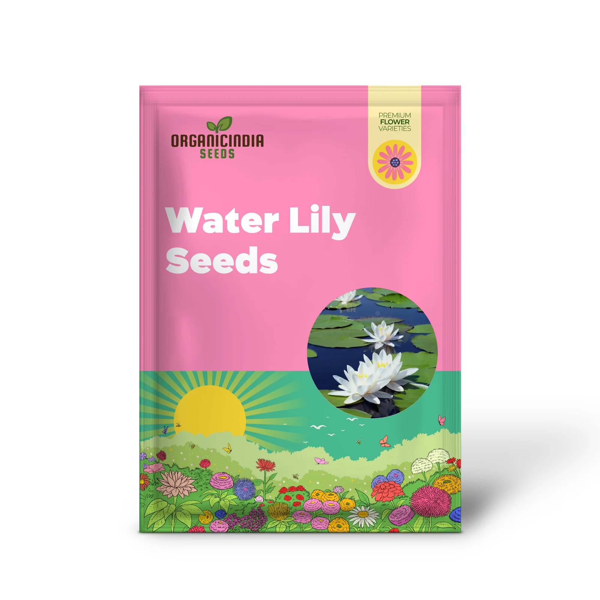 Water Lily Seeds for planting– Ideal for Ponds and Water Features - Image 2