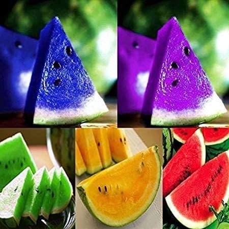 Watermelon Heirloom Mix Seeds Premium Quality Seeds for Planting And Gardening Organic Heirloom Variety - Image 4