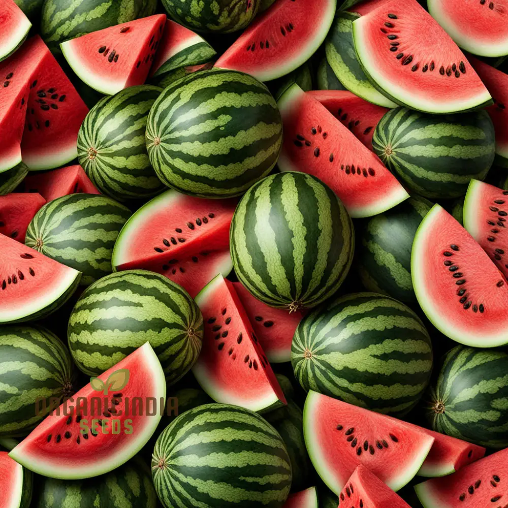 Watermelon Seeds, Home Garden Plant Fruit Seeds, Sweet Nutrient - Rich Food Large Watermelon - Image 3