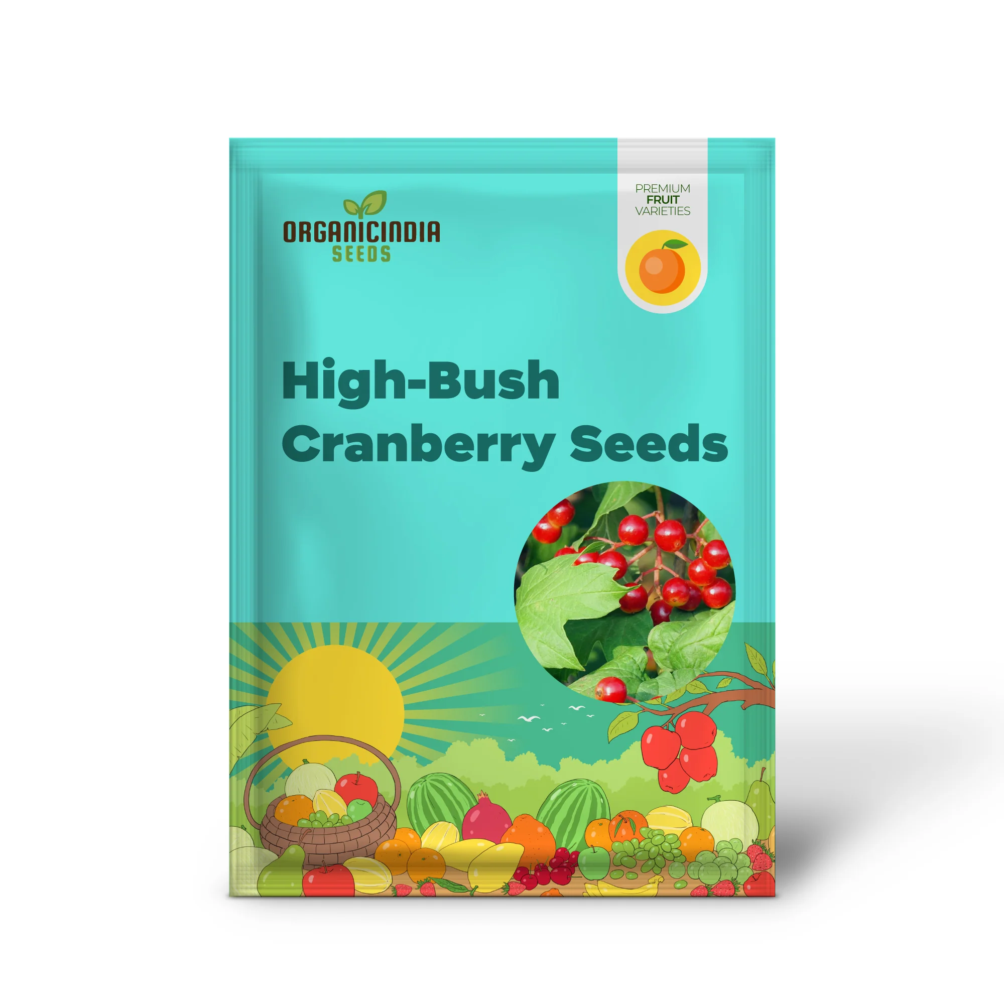 Wentworth High-Bush Cranberry (Vaccinium corymbosum 'Wentworth') – Seeds - Image 2