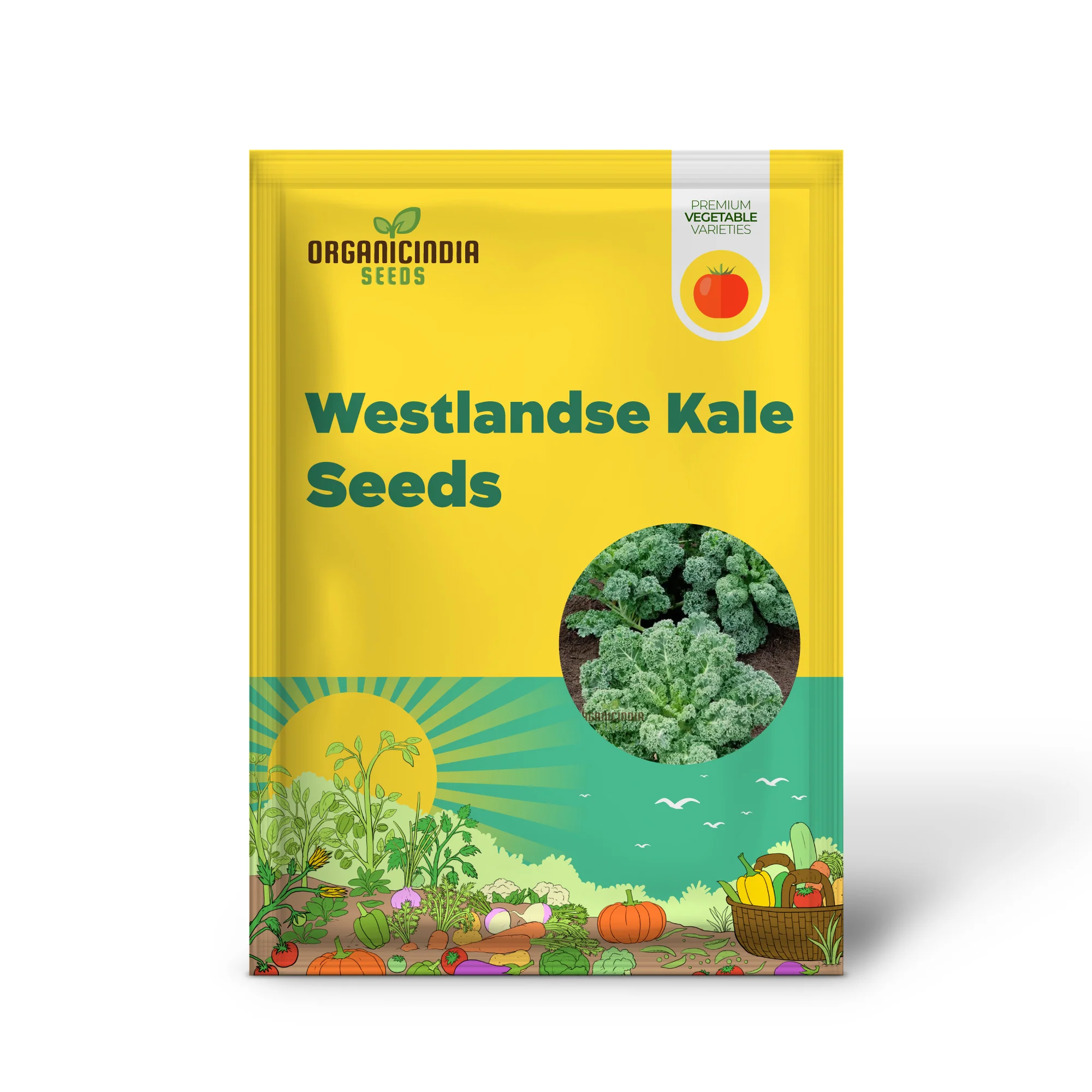 Westlandse Kale Vegetable Seeds, Heirloom, Nutritious, and Hardy Greens for Your Garden - Image 2