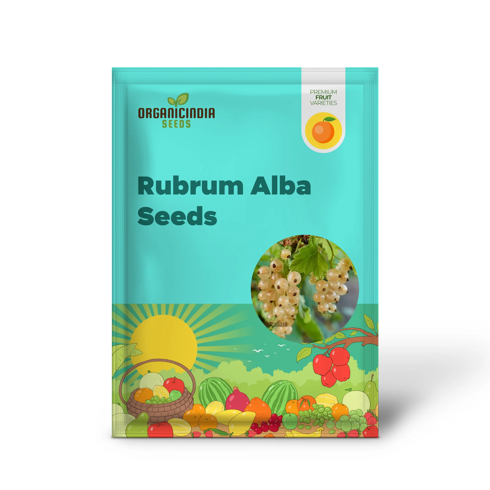 WHITE CURRANT (Rubrum Alba) Seeds for Gardening - Premium Quality, Organic, and Ideal for Home Gardens - Image 2