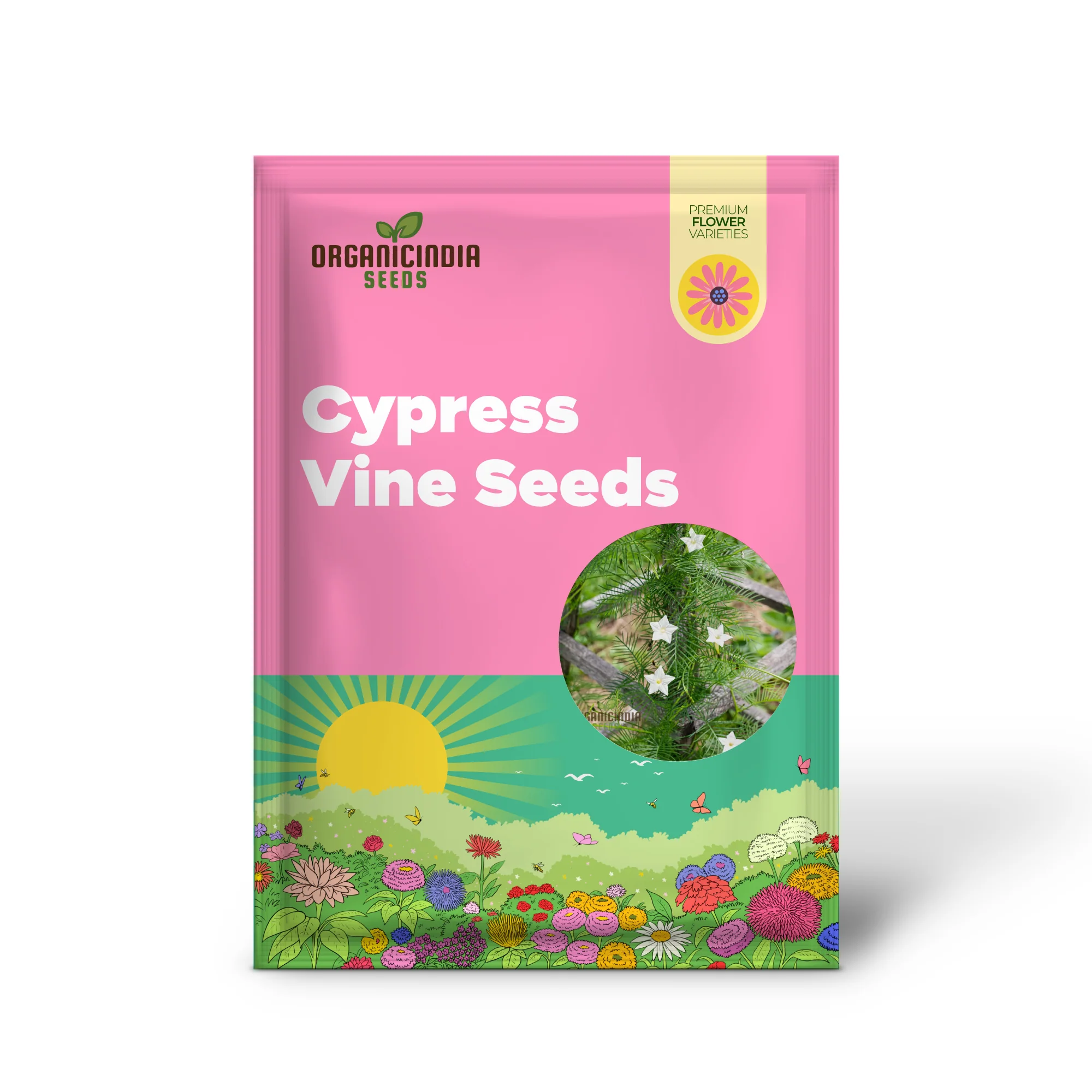 White Cypress Vine Seeds – Premium Climbing Vine Variety for Elegant Garden Displays - Image 2