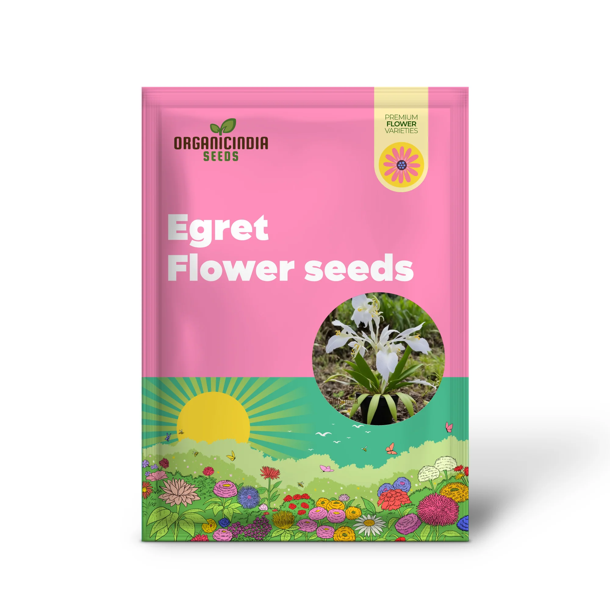White Egret Orchid Seeds – Habenaria Radiata for Elegant Garden Blooms - Image 3