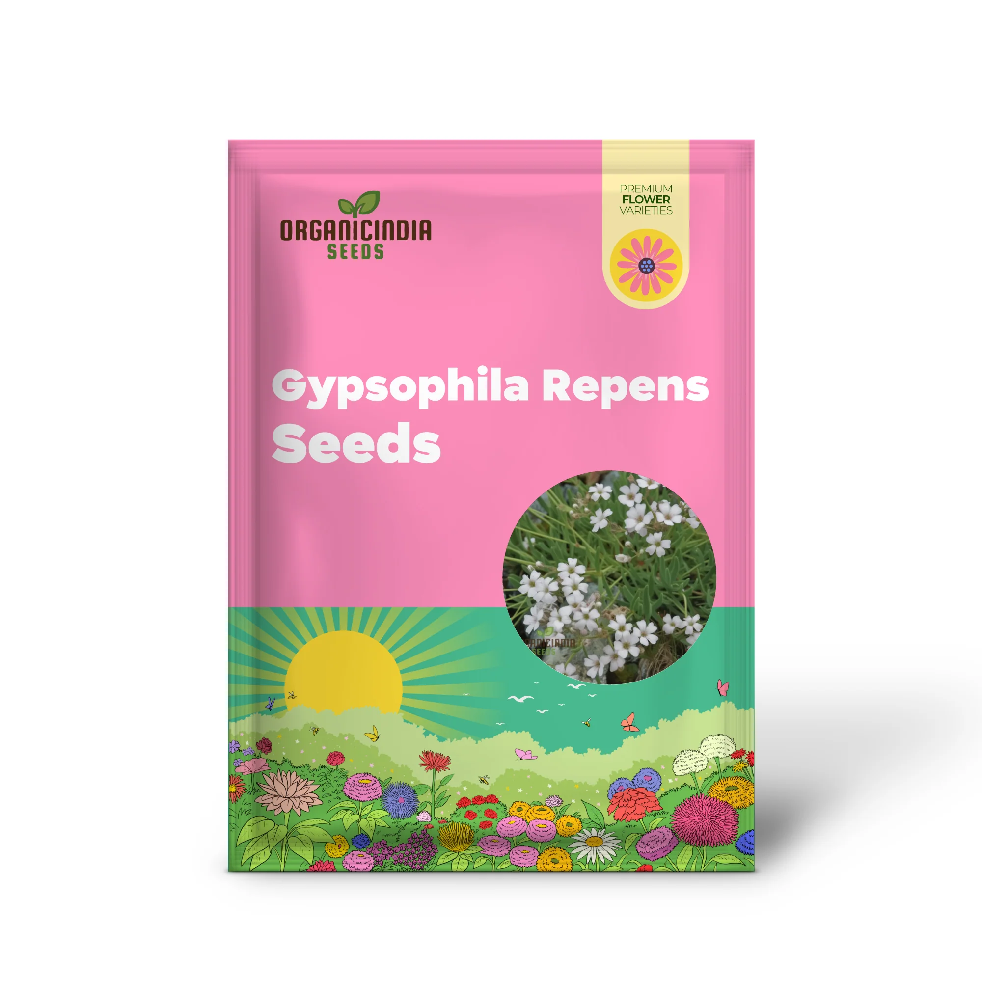 White Gypsophila Repens Seeds for Planting - Image 2