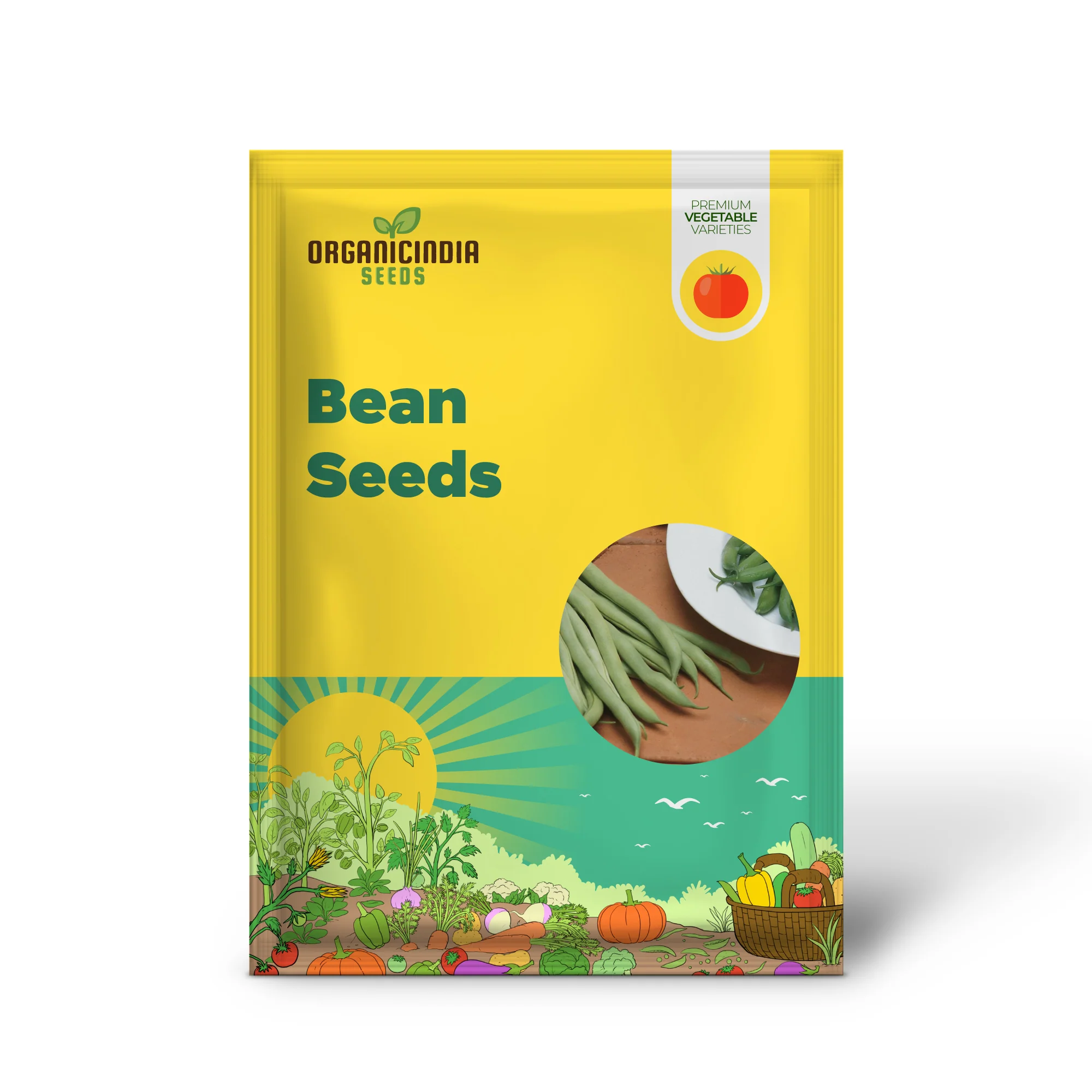 White Half Runner Green Bean Seeds, Planting - Image 2