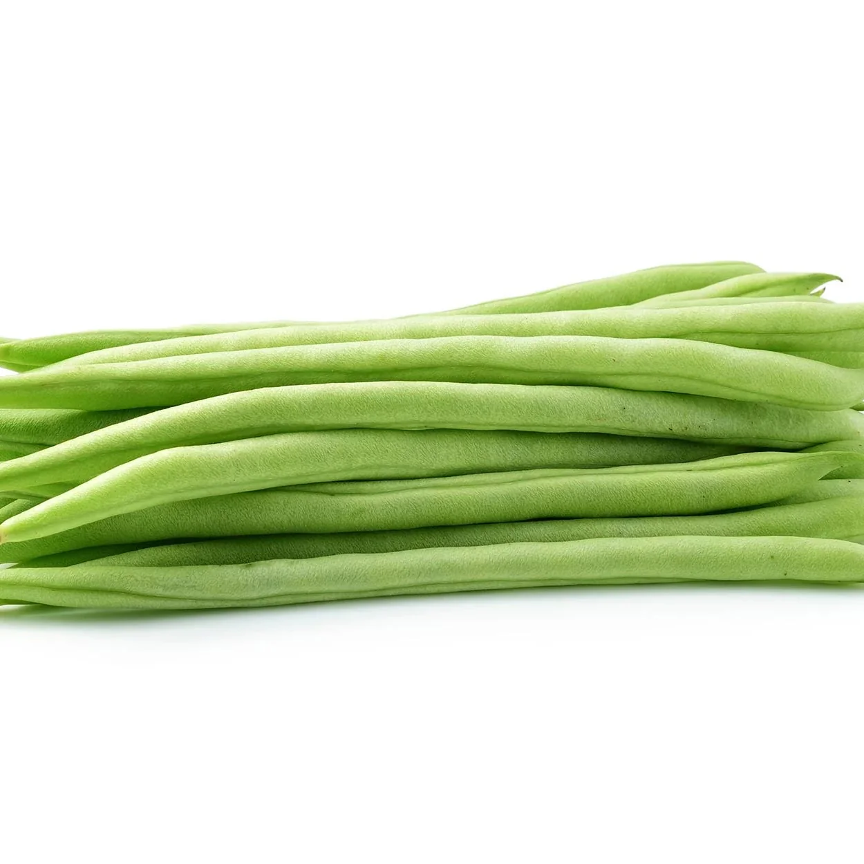 White Half Runner Green Bean Seeds, Planting - Image 3