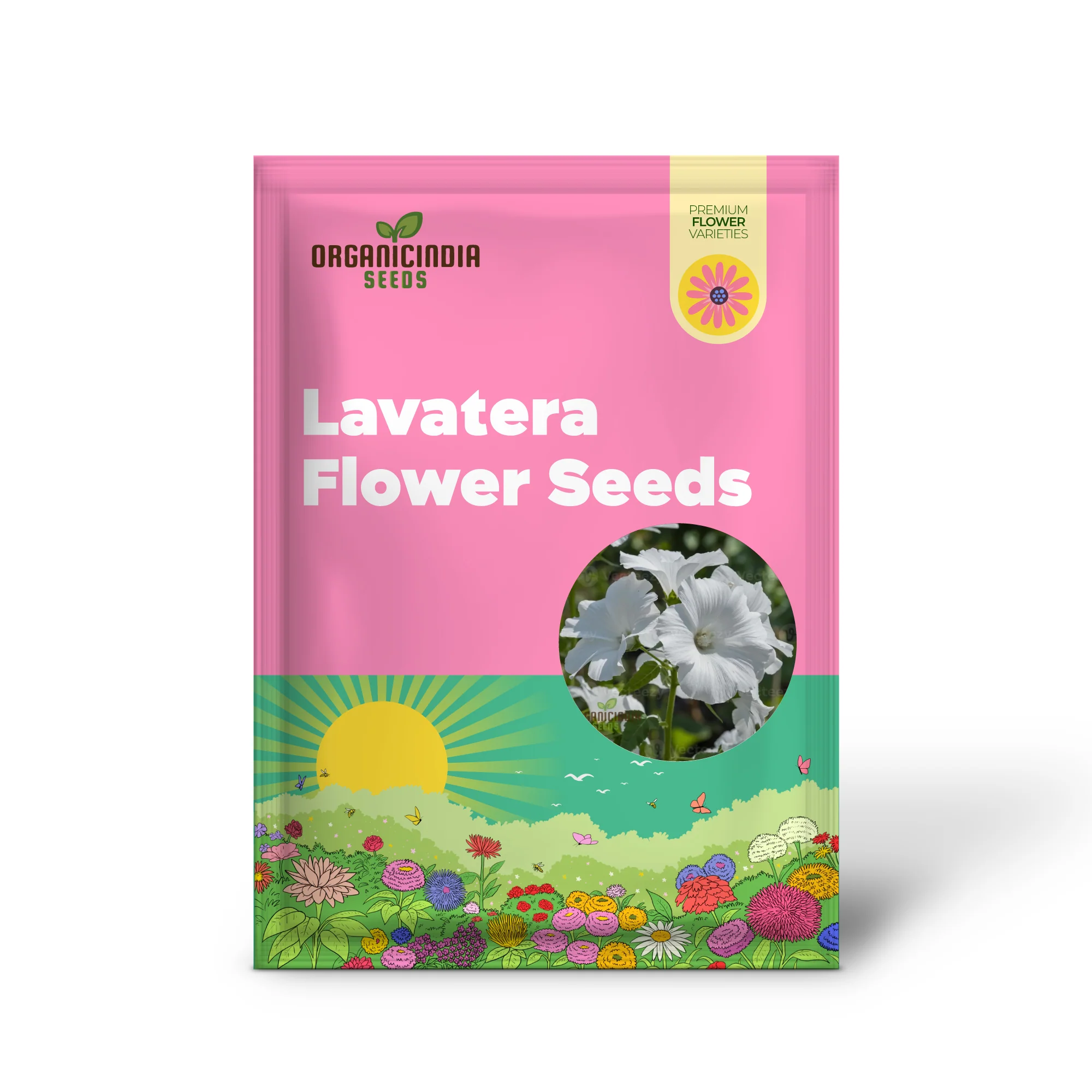 White Lavatera Flower Seeds for planting Elevate Your Gardening Experience with Graceful, Stunning Blooms - Image 2