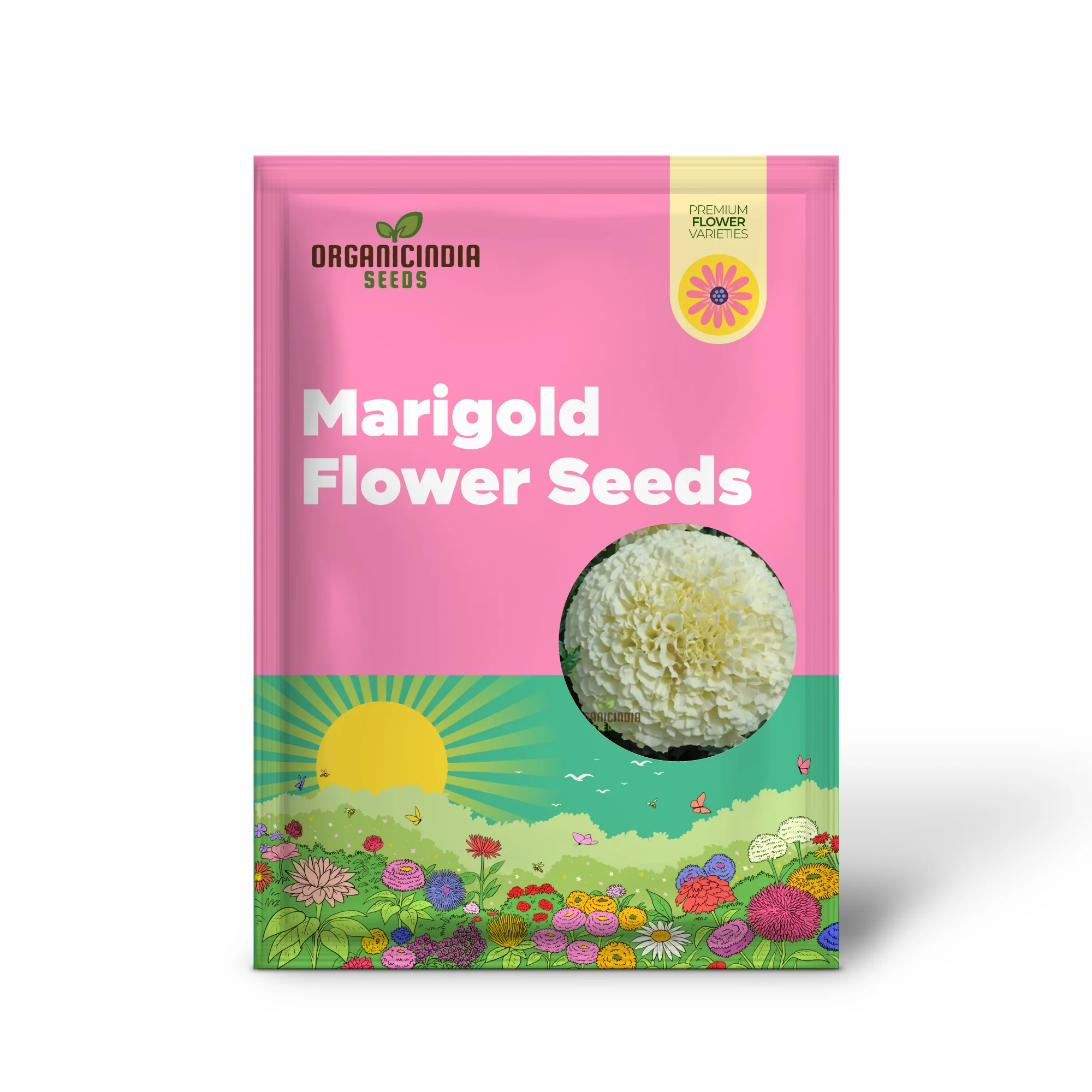 White Marigold Flower Seeds for Gardening Enthusiasts  Grow Stunning Blooms with Our High Quality Marigold Seeds - Image 2