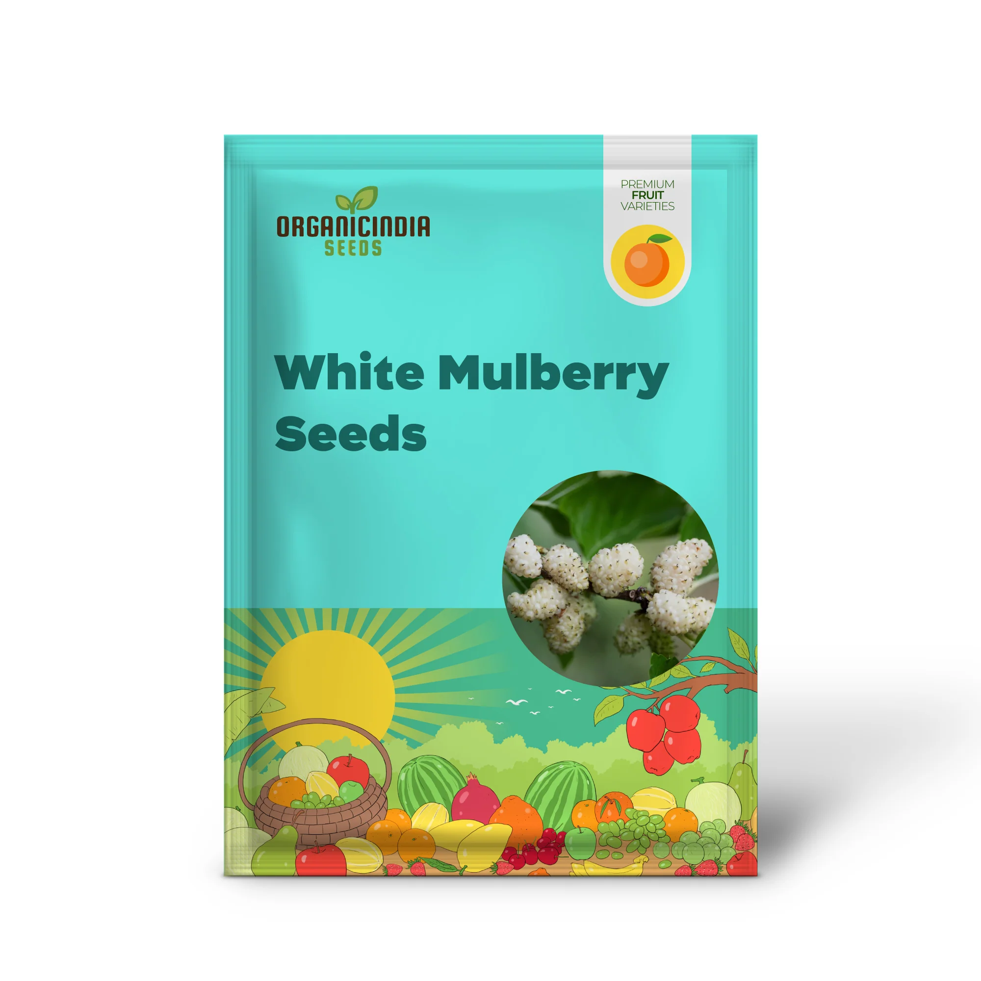 White Mulberry (Morus alba) – Seeds - Image 2