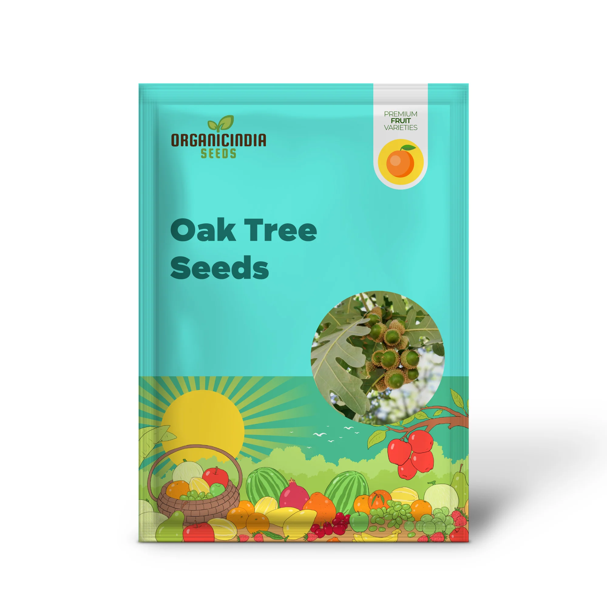 White Oak Tree (Quercus alba) – Seeds - Image 2