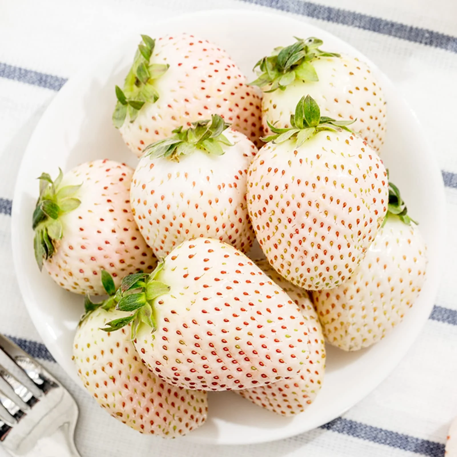 White Soul Strawberry Fruit Seeds - Image 3