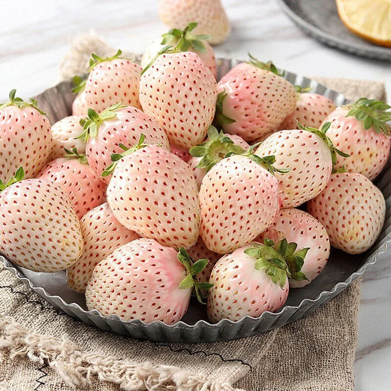 White Soul Strawberry Fruit Seeds - Image 4