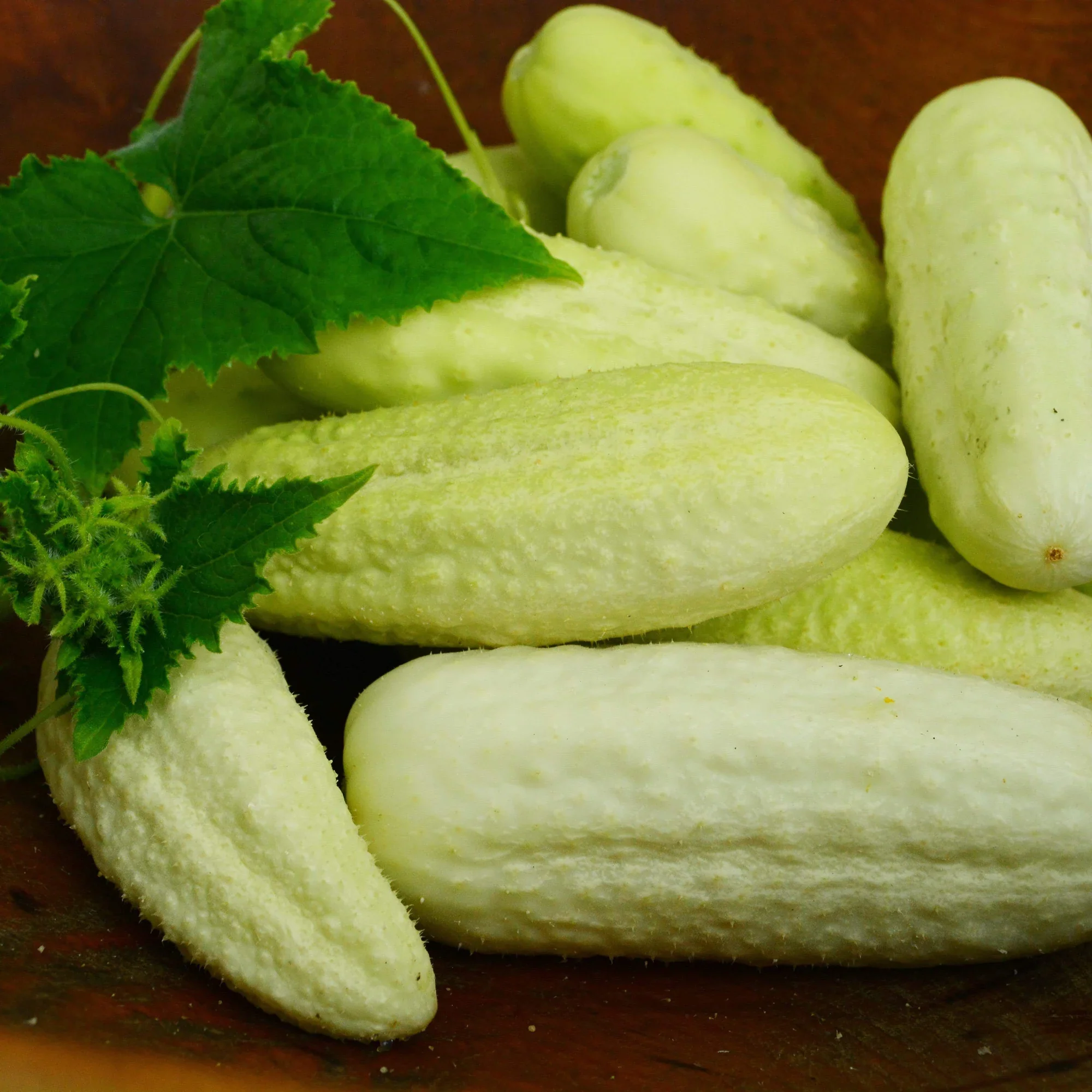 White Wonder Cucumber (Cucumis Sativus) – Fruit Seeds