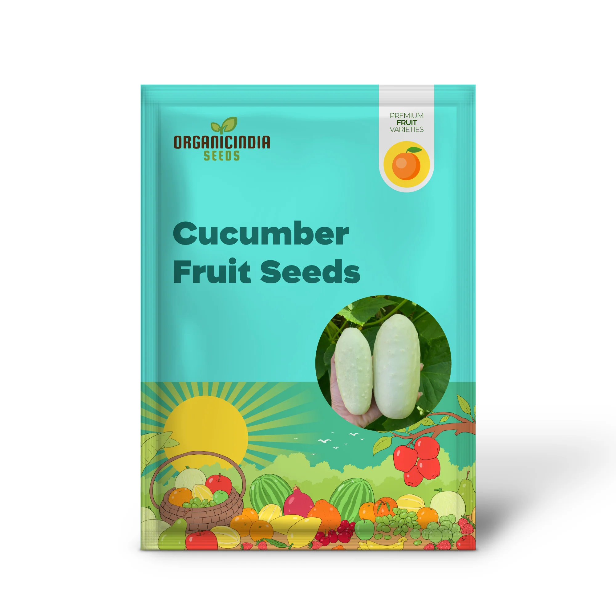 White Wonder Cucumber (Cucumis Sativus) – Fruit Seeds - Image 2