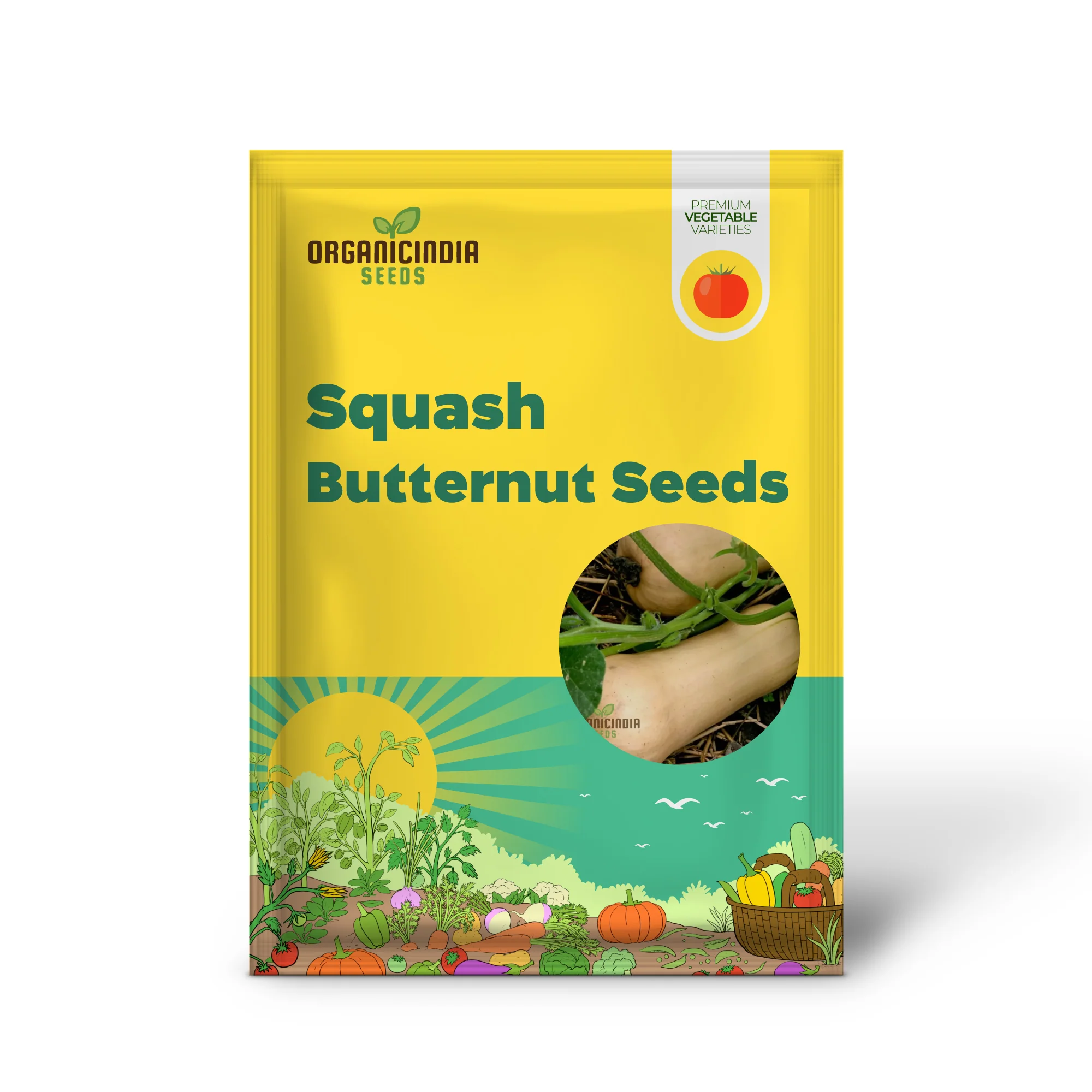 Winter Squash Butternut Waltham Seeds for Planting - Grow Sweet and Nutty Butternut Squash - Image 2