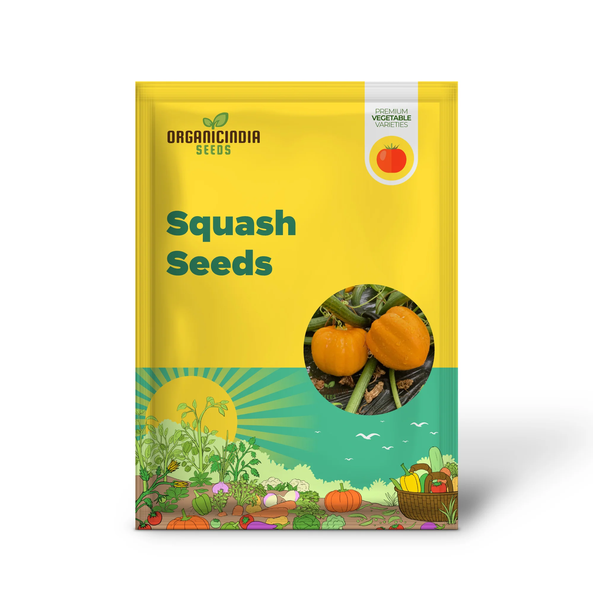 Winter Squash Goldilocks vegetable Seeds, High-Yield Sweet Flavor Perfect for Home and Garden - Image 2