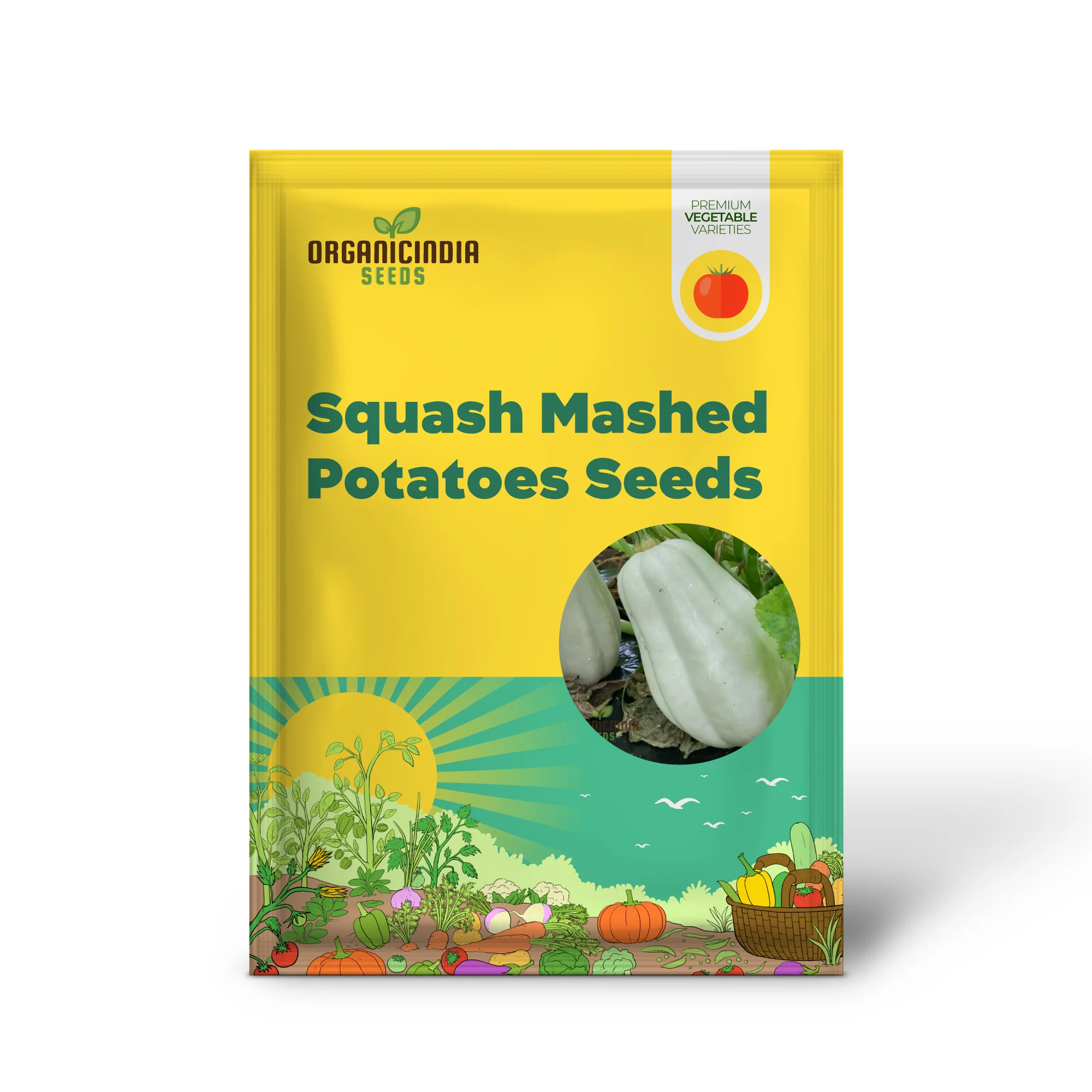 Winter Squash Mashed Potatoes Vegetable Seeds, Heirloom Varieties for Your Garden - Image 2