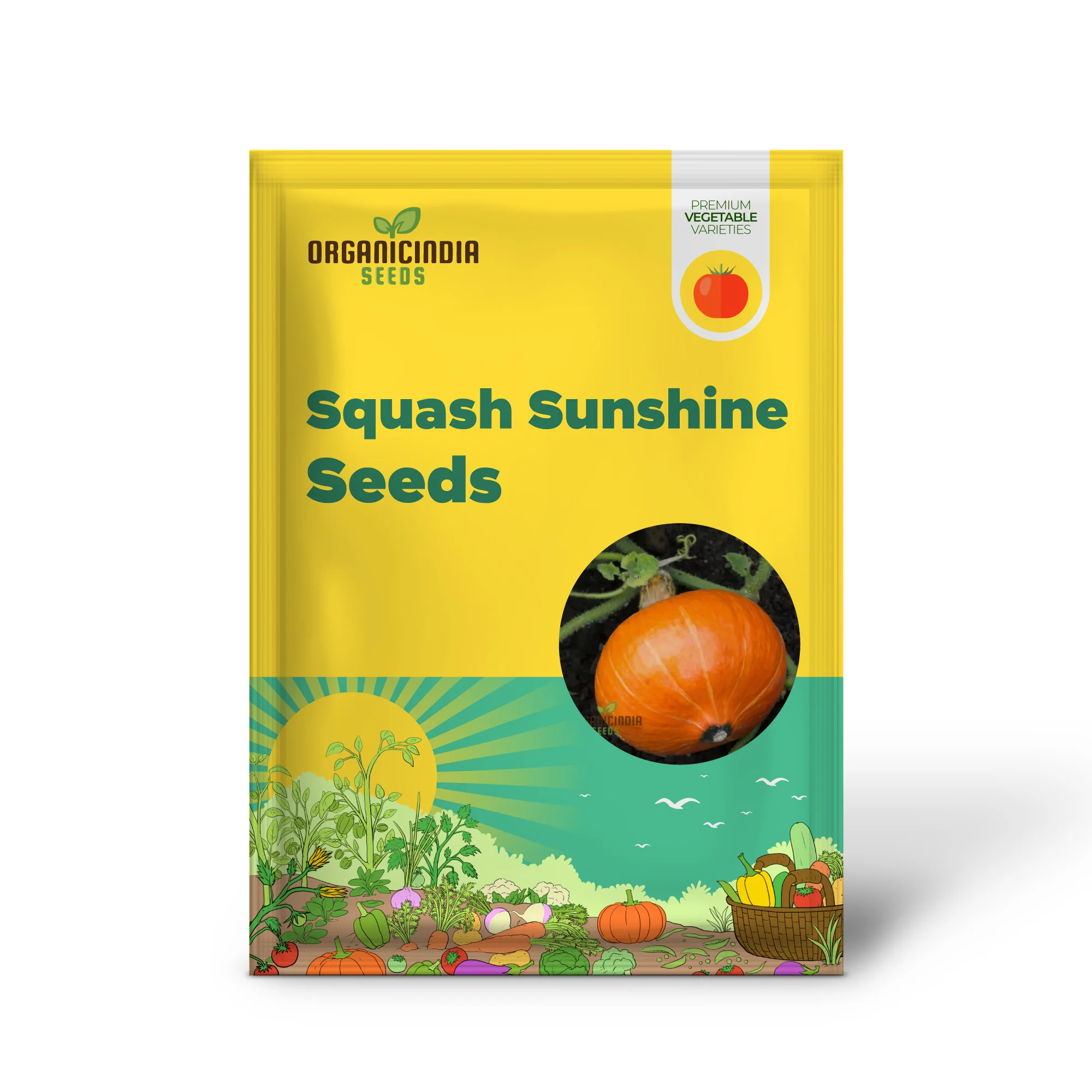 Winter Squash Sunshine Vegetable Seeds For Planting: Expert Gardening Guide for a Bountiful Harvest of Nutritious and Delicious Squash All Winter Long - Image 2