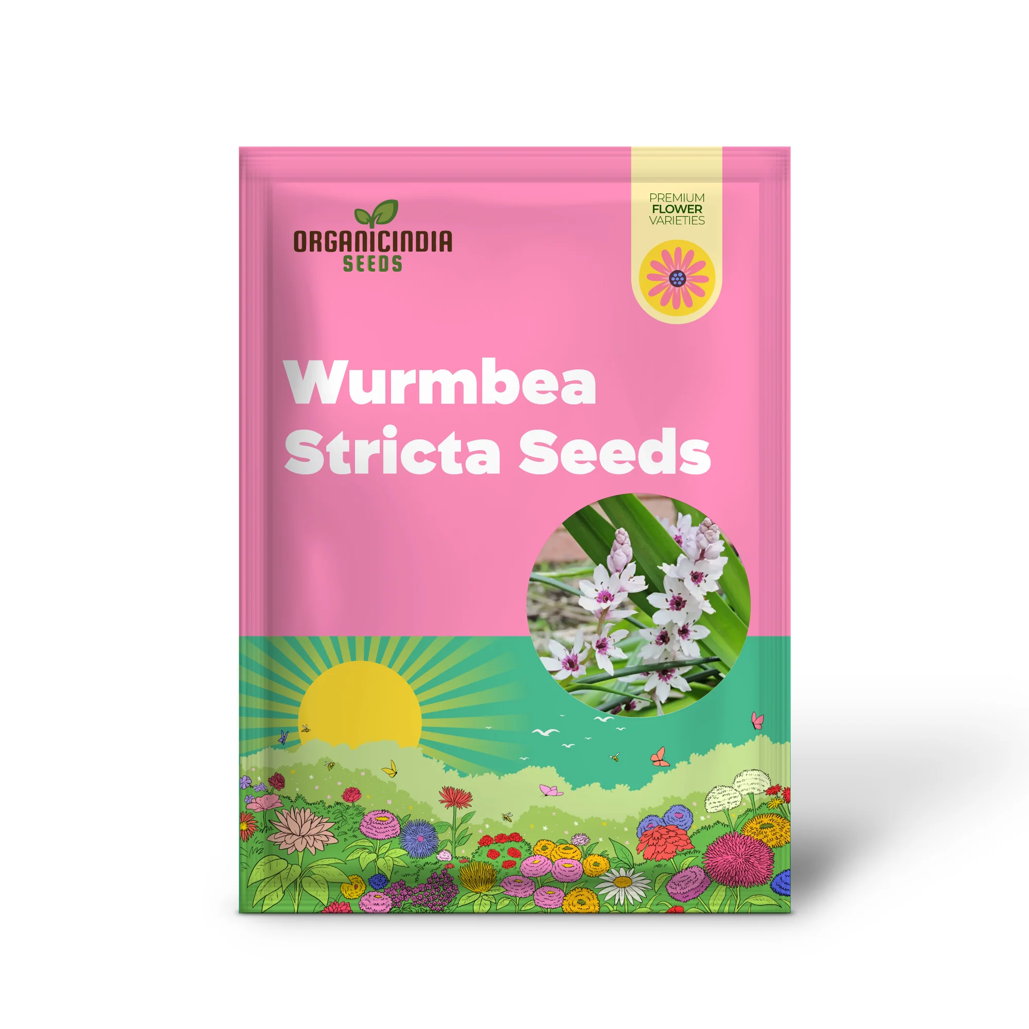 Wurmbea Stricta Seeds – Rare Garden Variety for Planting - Image 2