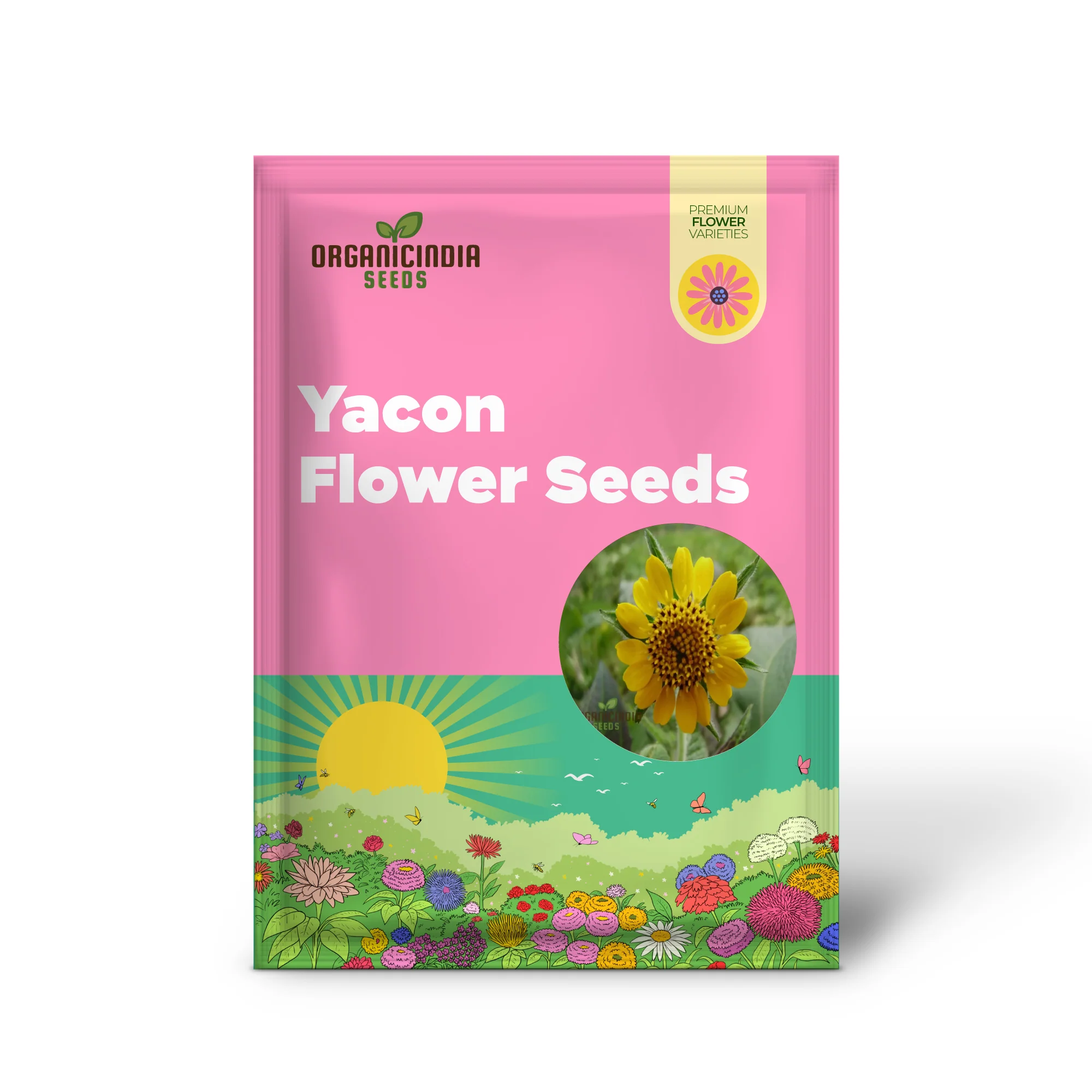 Yacon Flower Seeds – Premium Flower Seeds for Gardening - Image 2