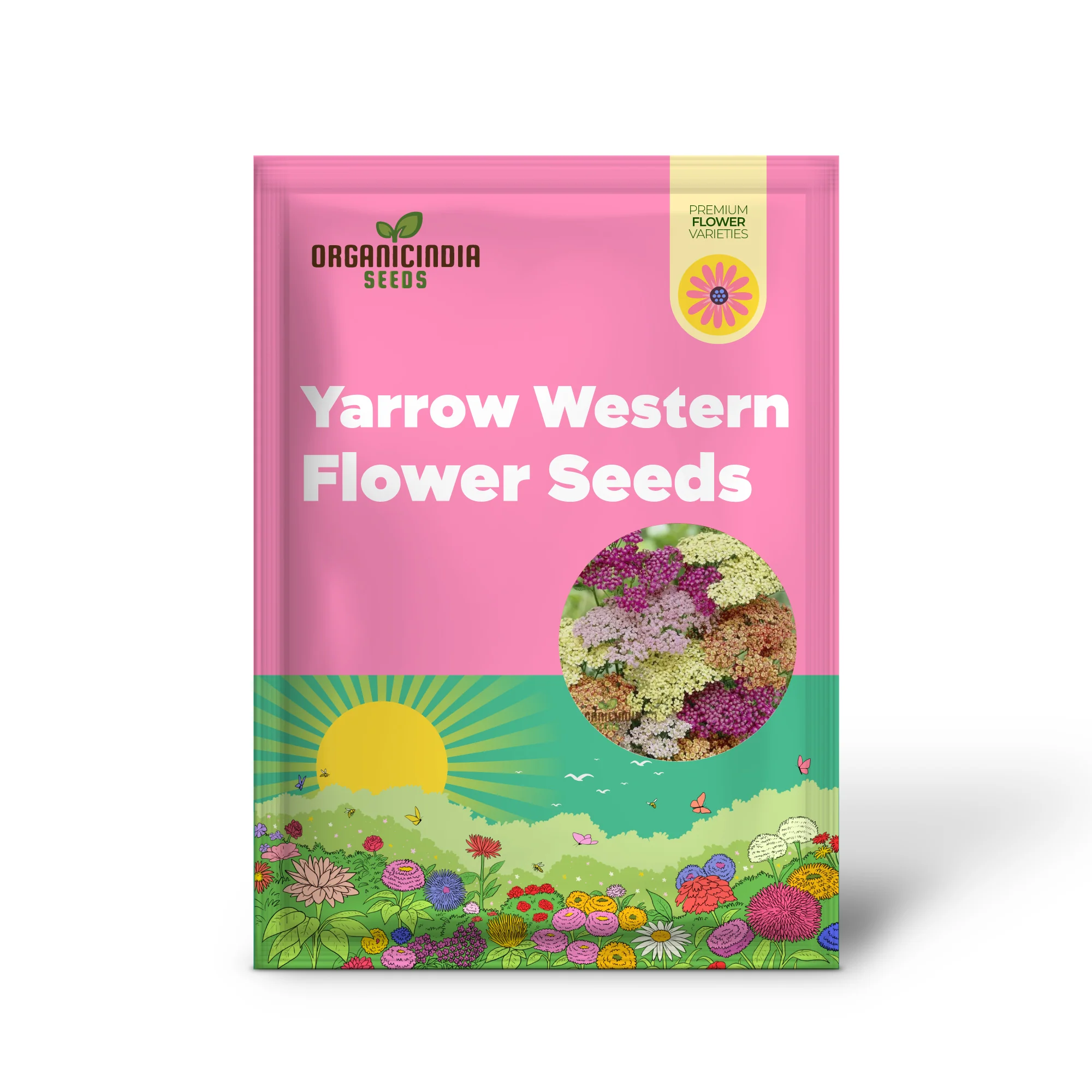 Yarrow Western Flower Seeds for Planting - 1500 Mixed Yarrow Western Flower Seeds Non GMO & Heirloom Seeds Garden Flower Seeds - Image 2