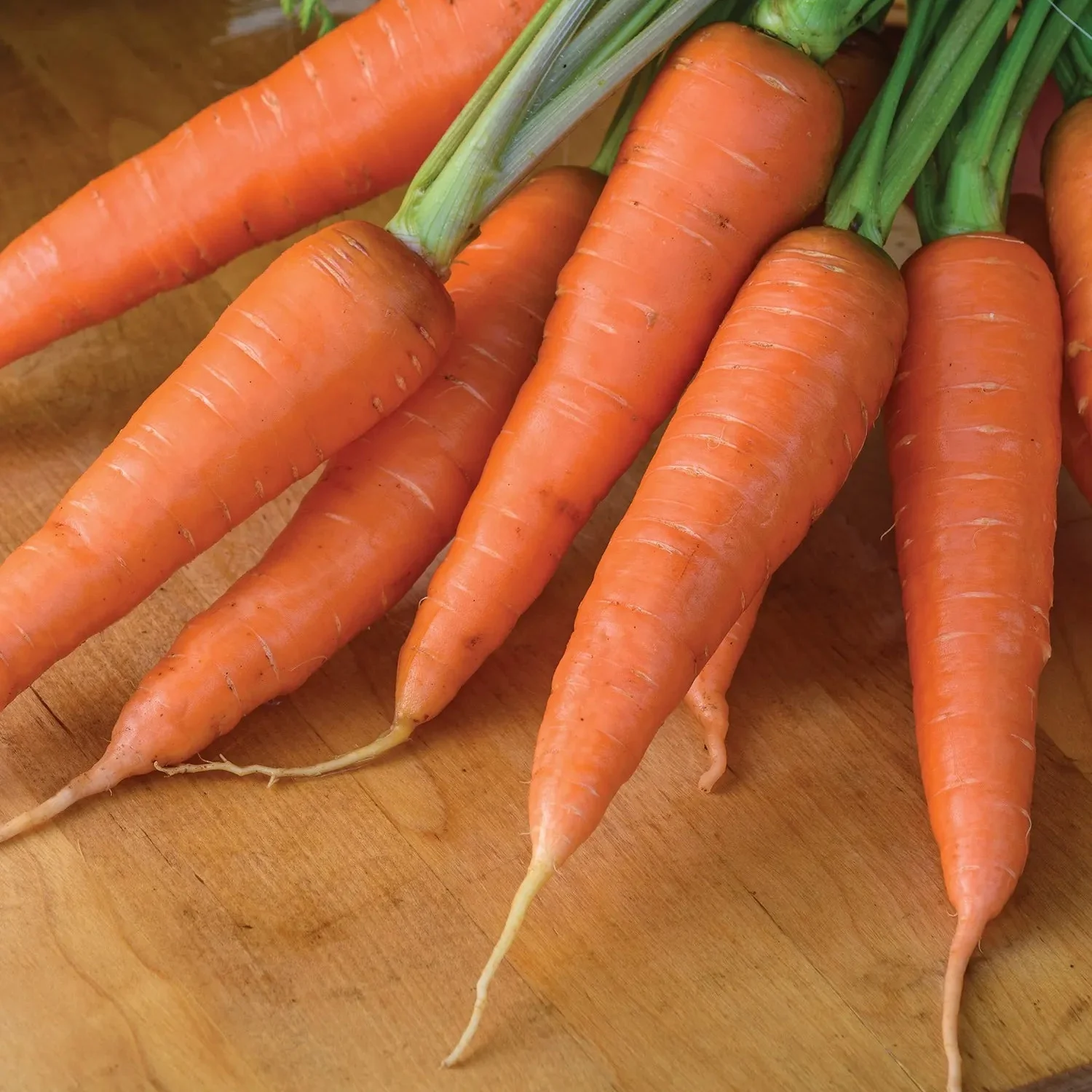 Yaya Carrot Seeds – Premium Quality, Sweet & Crisp Hybrid Carrots - Image 2