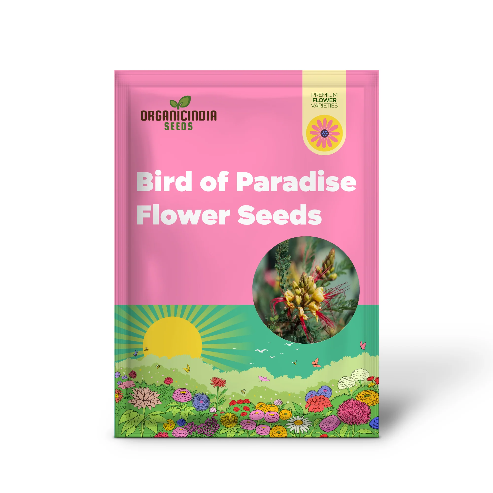 Yellow Bird of Paradise Flower Seeds - Exotic Blooms for Tropical Garden Paradises - Image 2