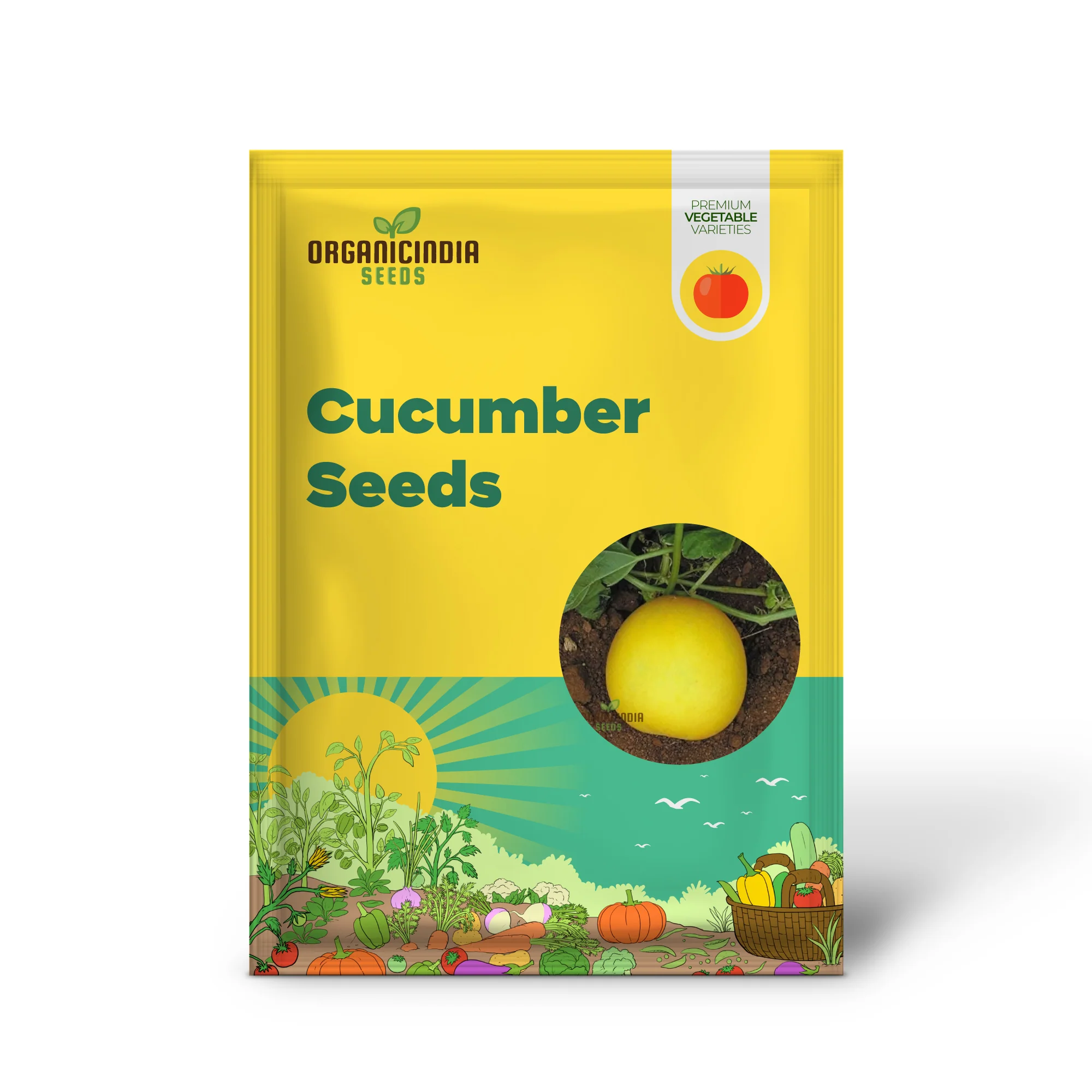 Yellow Cucumber Seeds, Premium Grow Your Own Sunshine vegetable seeds or Vibrant Gardens - Image 2