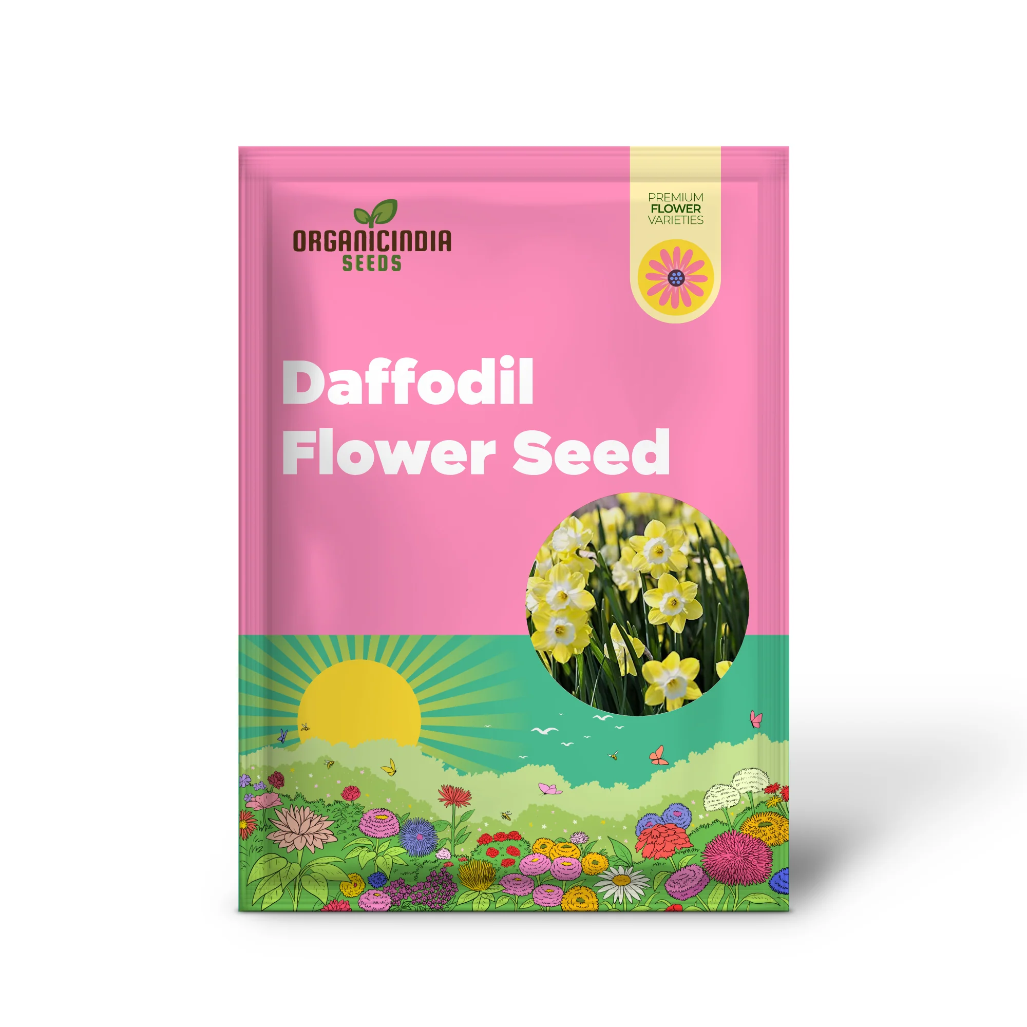 Yellow Daffodil Bulbs for Planting, Daffodil Bulbs for Fall Planting, Narcissus Flower Bulbs Perennial - Image 2
