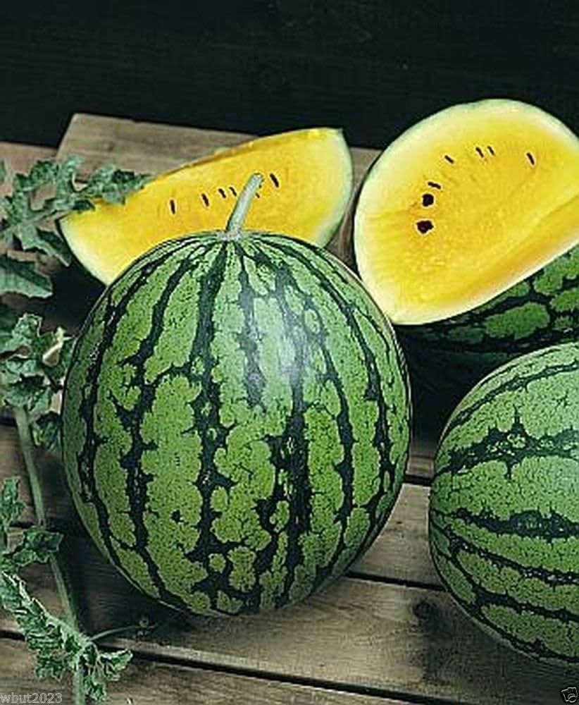 Yellow Flesh Yellow Crimson Watermelon Seeds - Image 5