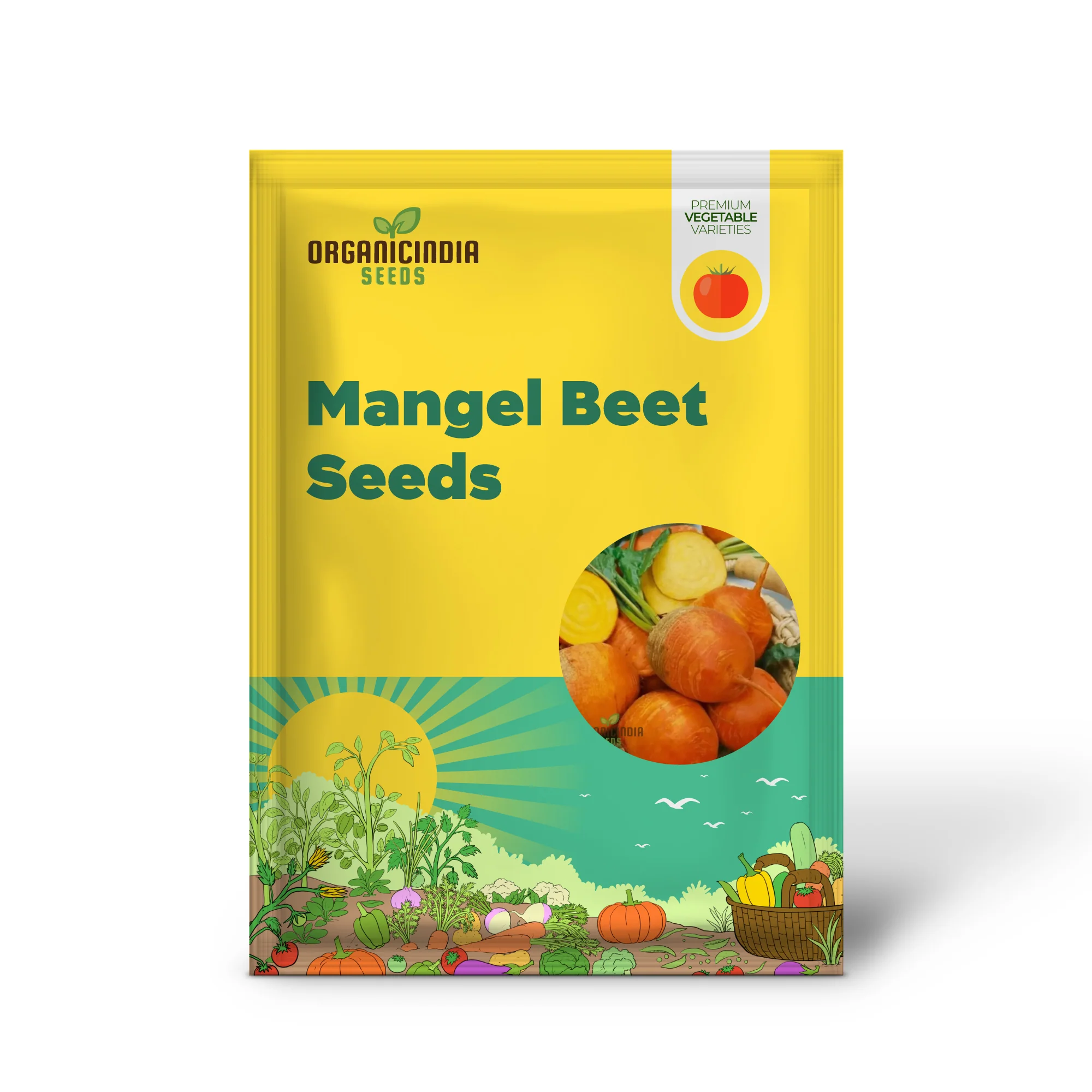 Yellow Intermediate Mangel Beet Seeds - Grow Vibrant Yellow Beets for Your Garden - Image 2