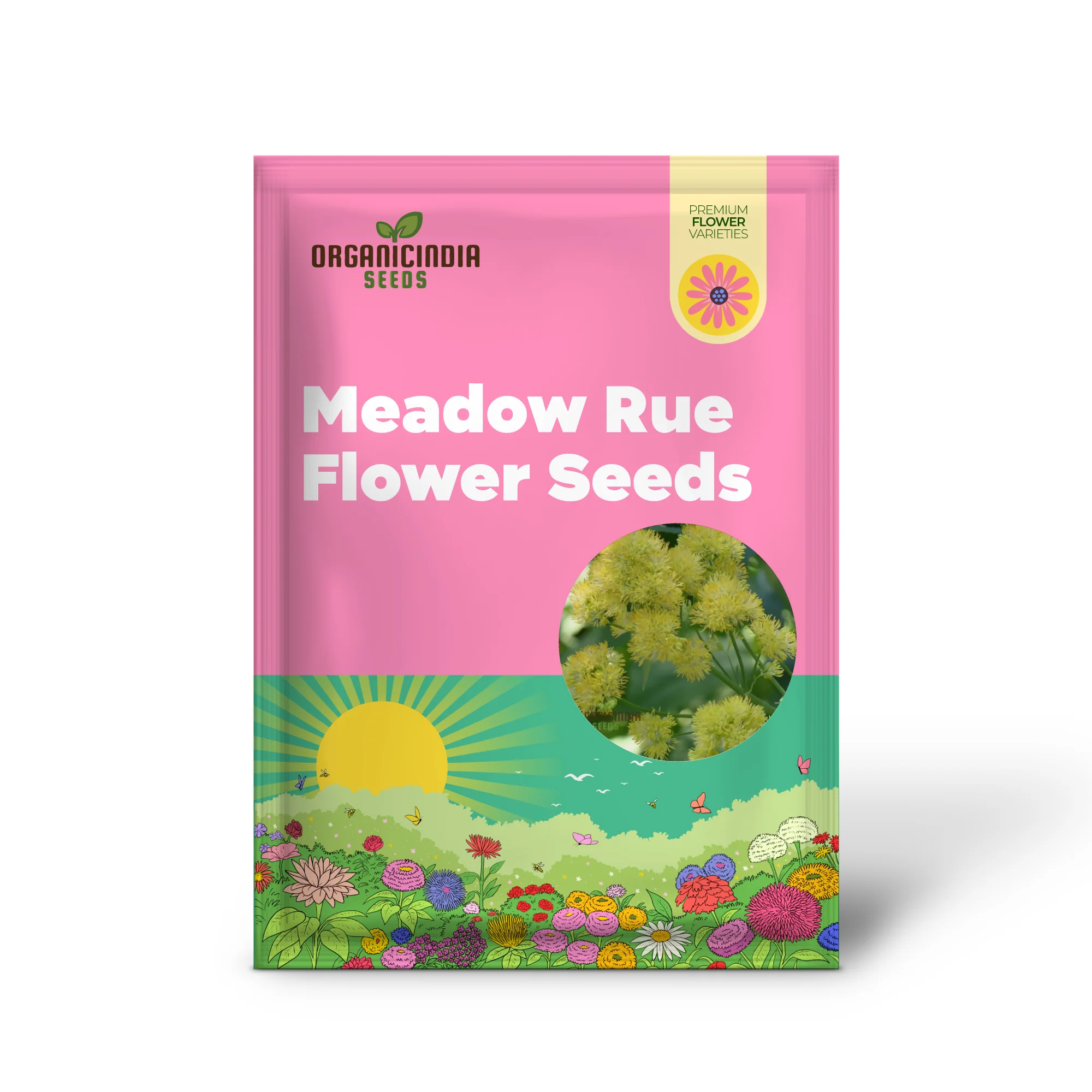 Yellow Meadow Rue Flower Seeds - Elegant Blooms for Airy and Graceful Garden Displays - Image 2