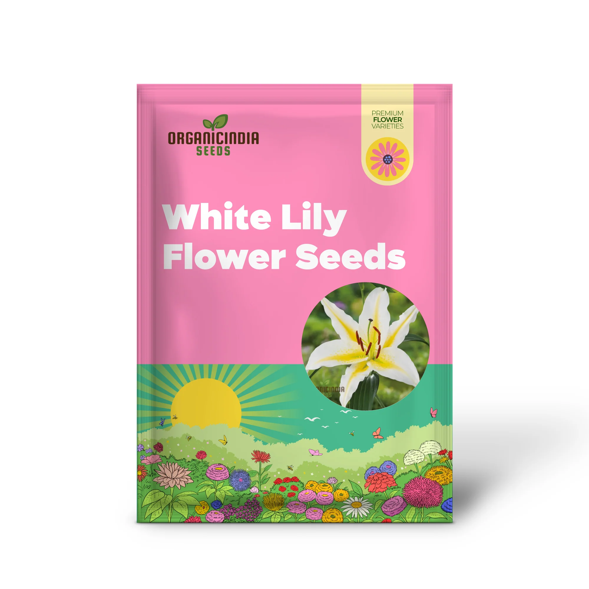 Lily Seeds (Yellow & White Mixed Lily Seeds) - Vibrant Garden Blooms, Easy to Grow - Image 2