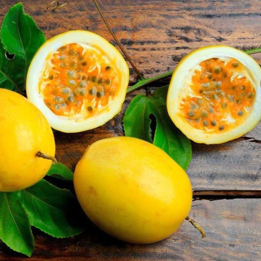 Yellow Passion Fruit Vine Seeds
