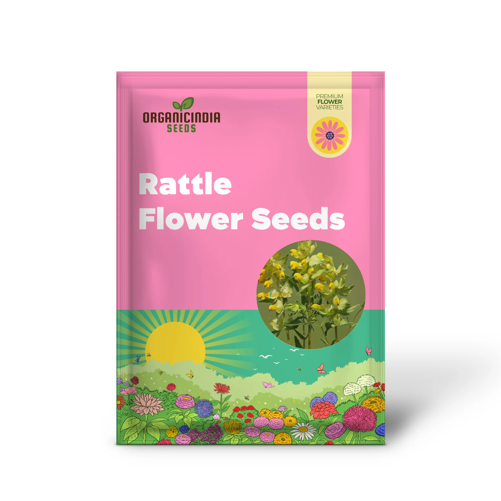 Yellow Rattle Flower Seeds for Planting - Grow Vibrant, Unique Blooms in Your Garden - Image 2