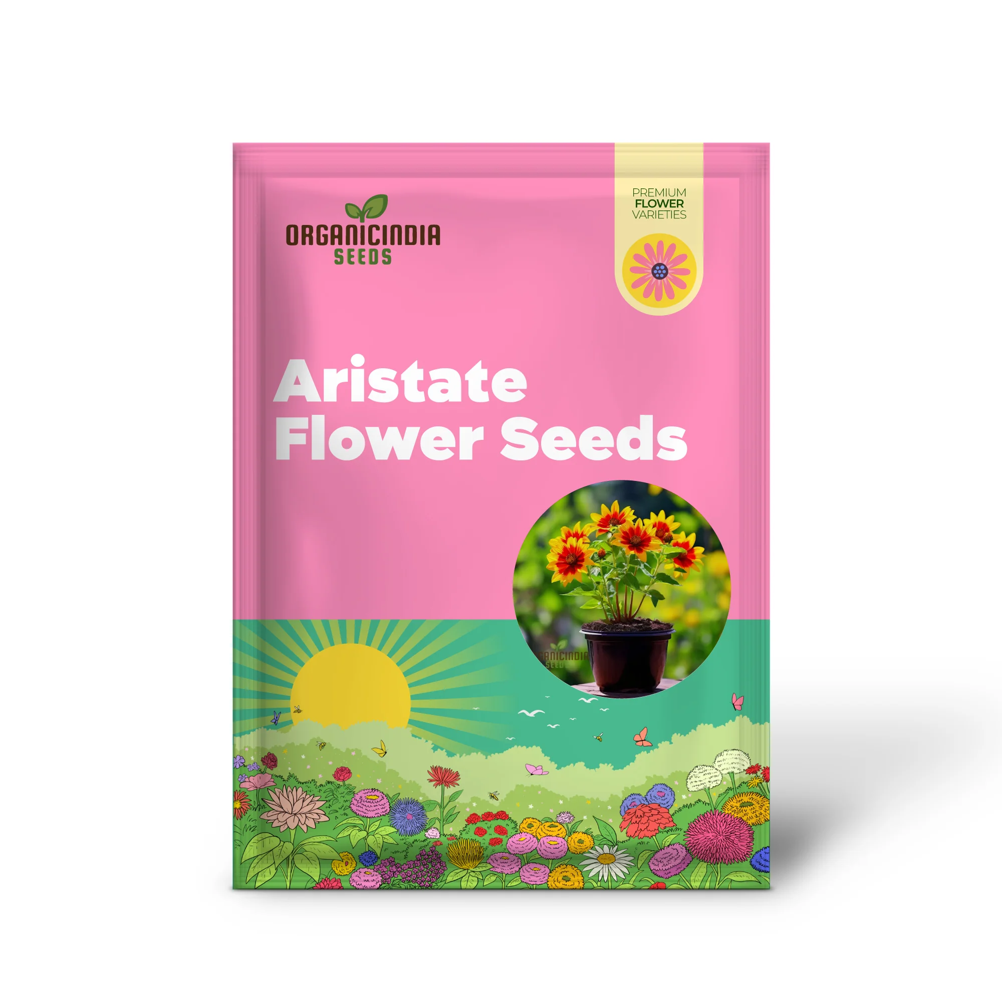 Golden Flame Aristate Flower Seeds - Fiery Yellow and Red Blossoms for Radiant Gardens - Image 2