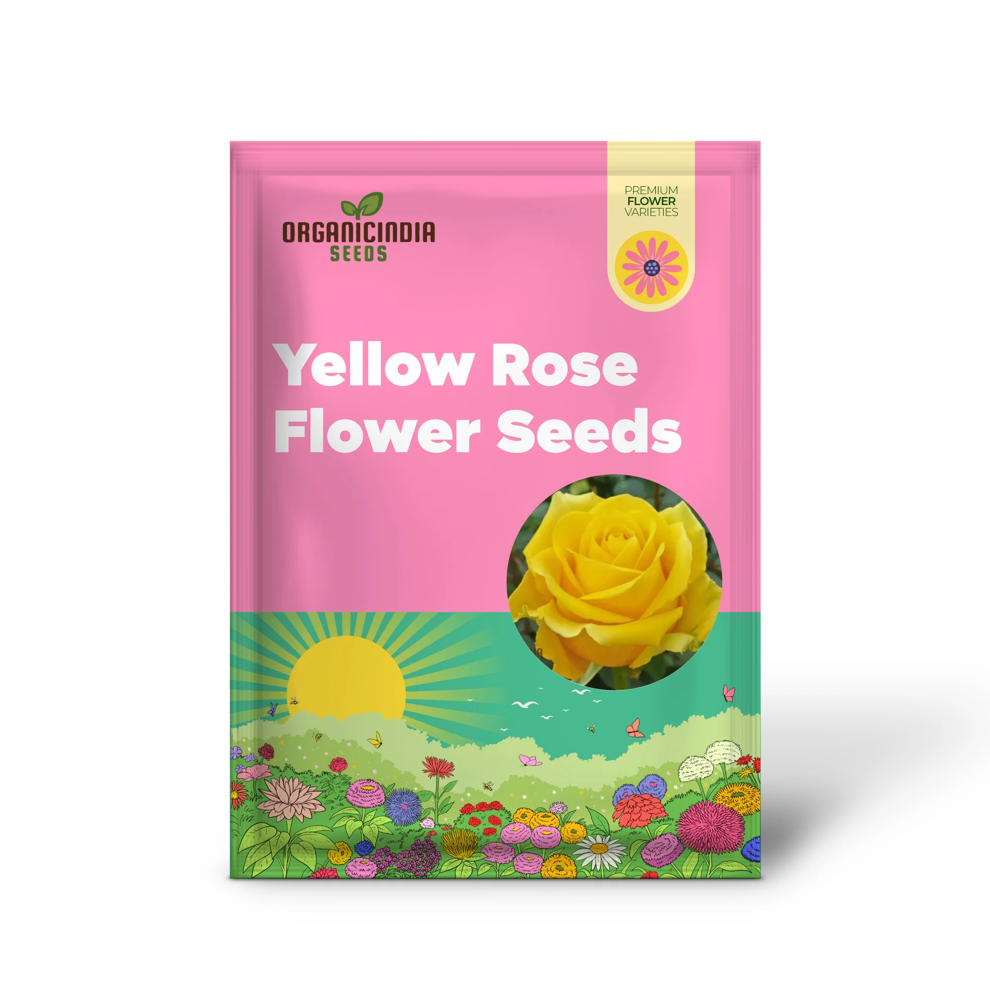 Yellow Rose Flower Seeds for Planting, High-Quality Seeds for Vibrant Yellow Blooms - Image 2