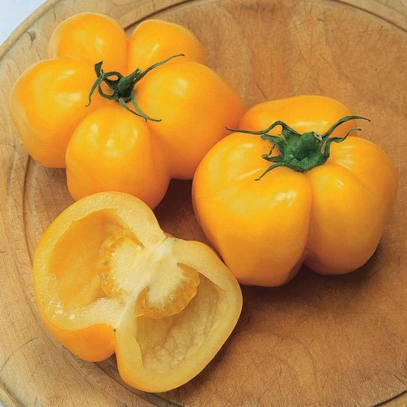 Yellow Stuffer Tomato Seeds – Unique Hollow Heirloom Variety for Stuffing - Image 3