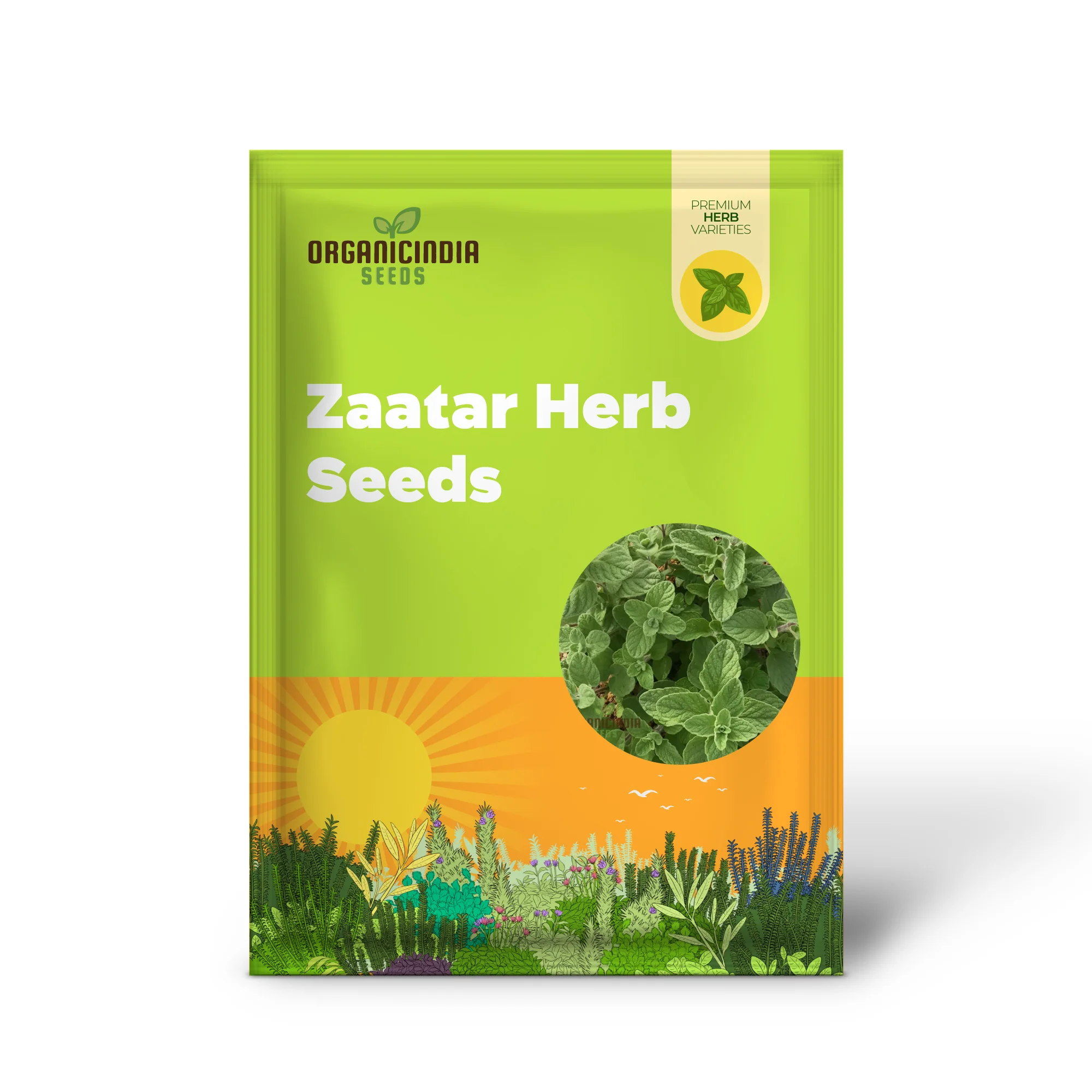 Zaatar Herb Seeds – Aromatic Mediterranean Blend for Culinary Use - Image 2