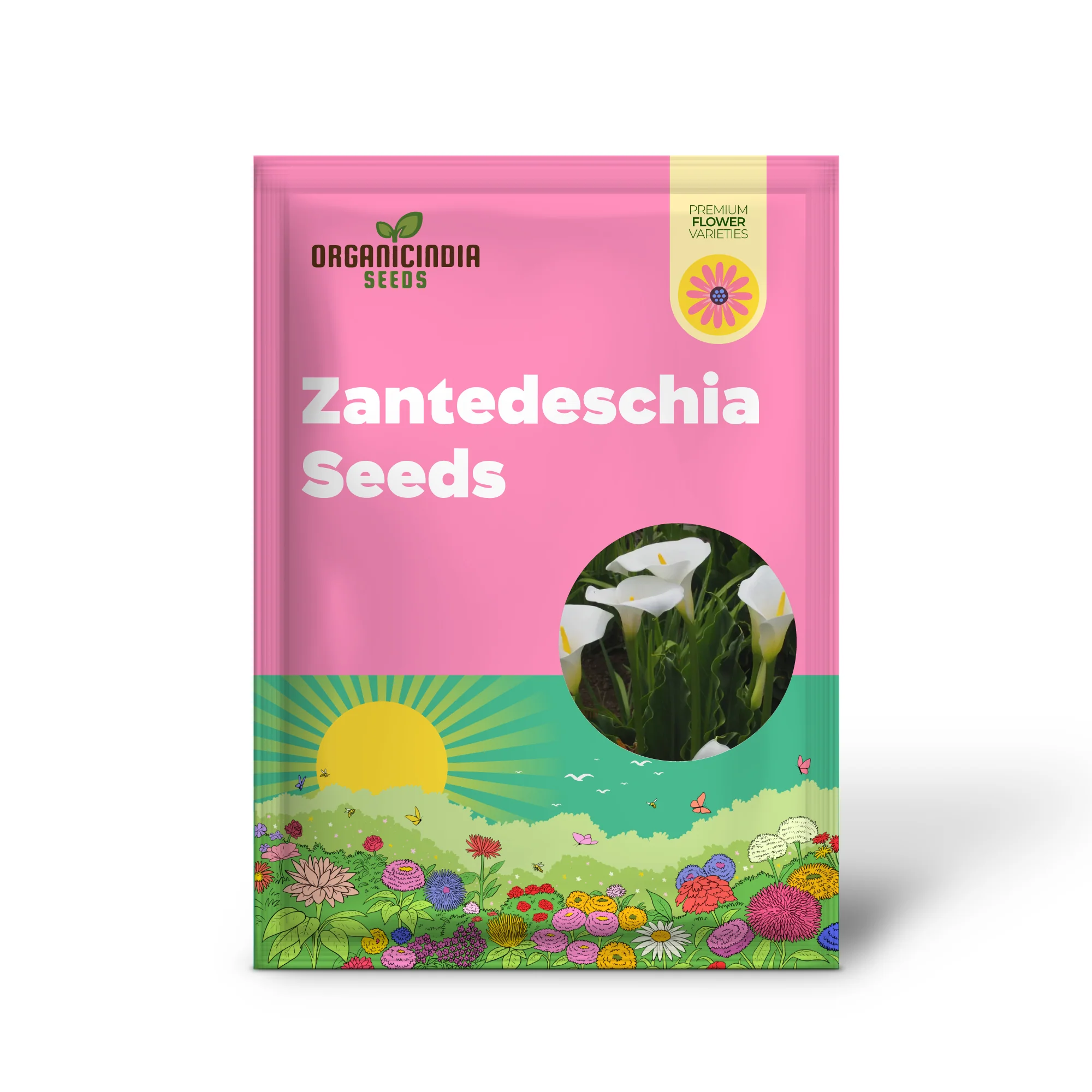 Zantedeschia Seeds (Zantedeschia Aethiopica Seeds) - Elegant White Blooms for Garden Planting - Image 3