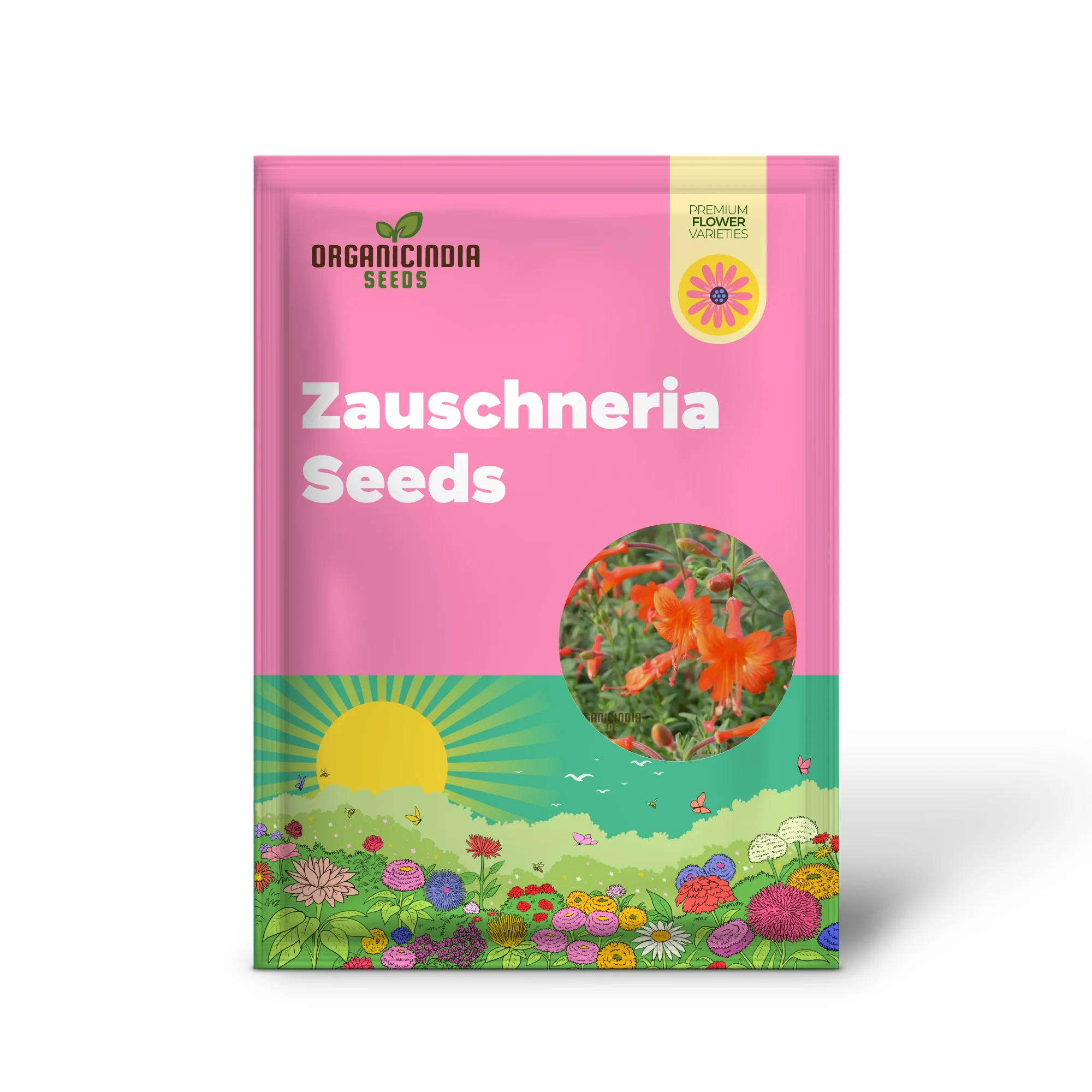 Zauschneria Californica Glasnevin Seeds - Vibrant Red Flowers for Your Garden" - Image 2