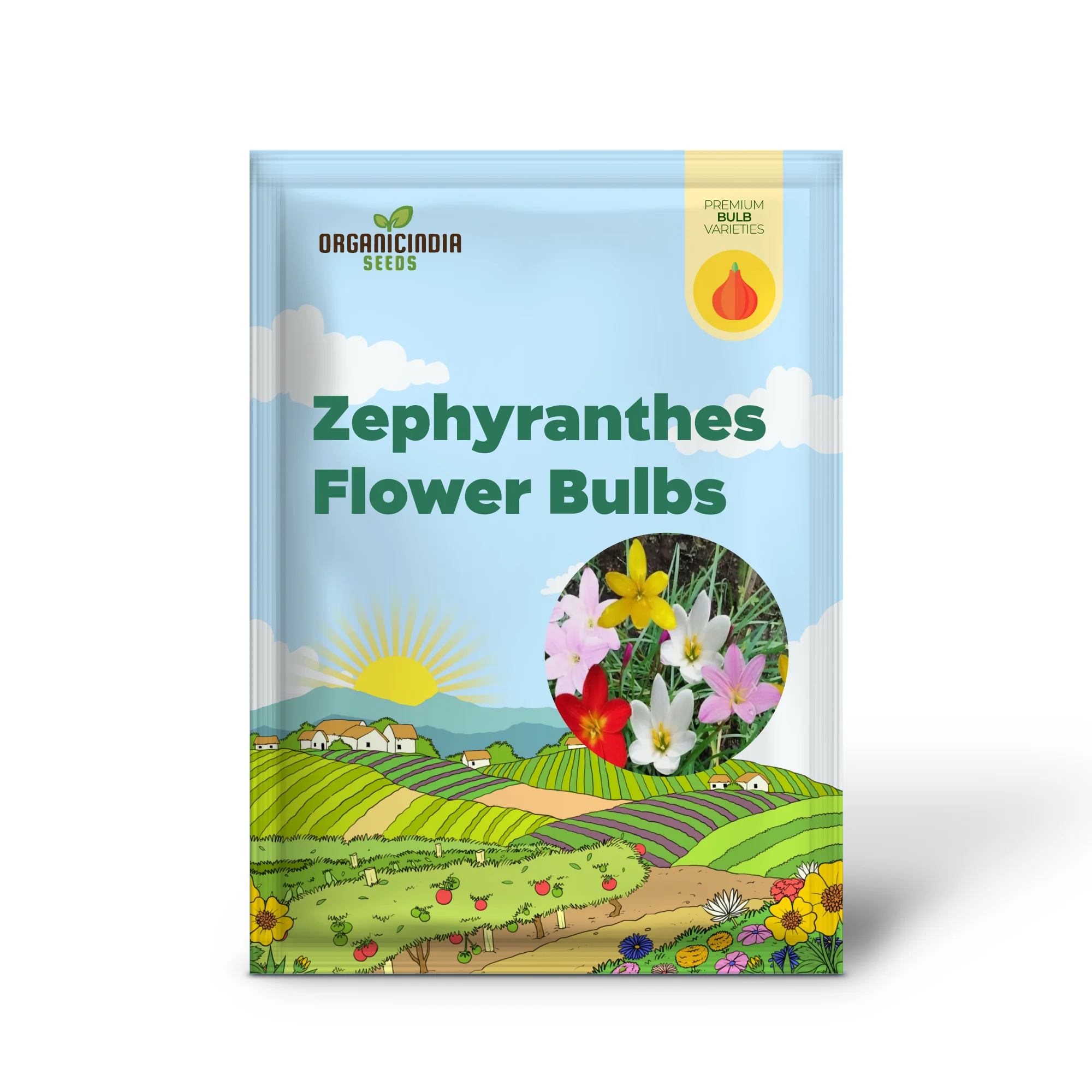Zephyranthes Flower Bulb Outdoor Summer Garden Perennial Rain Lily Bulbs (3 Bulbs for Planting) - Image 2