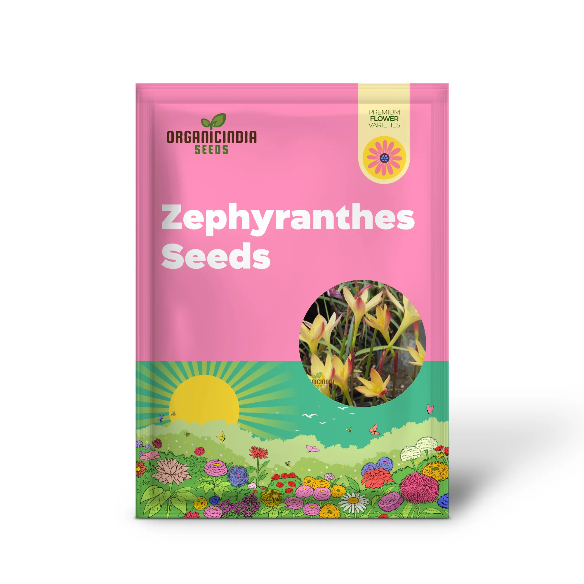 Zephyranthes Primulina Seeds - Exquisite Rain Lily for Your Garden Blooms - Image 2