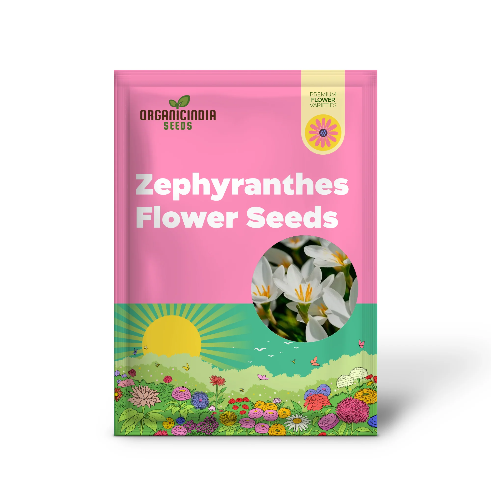 Zephyranthes White Flower Seeds For Planting, Elegant White Rain Lilies for Your Garden - Image 2