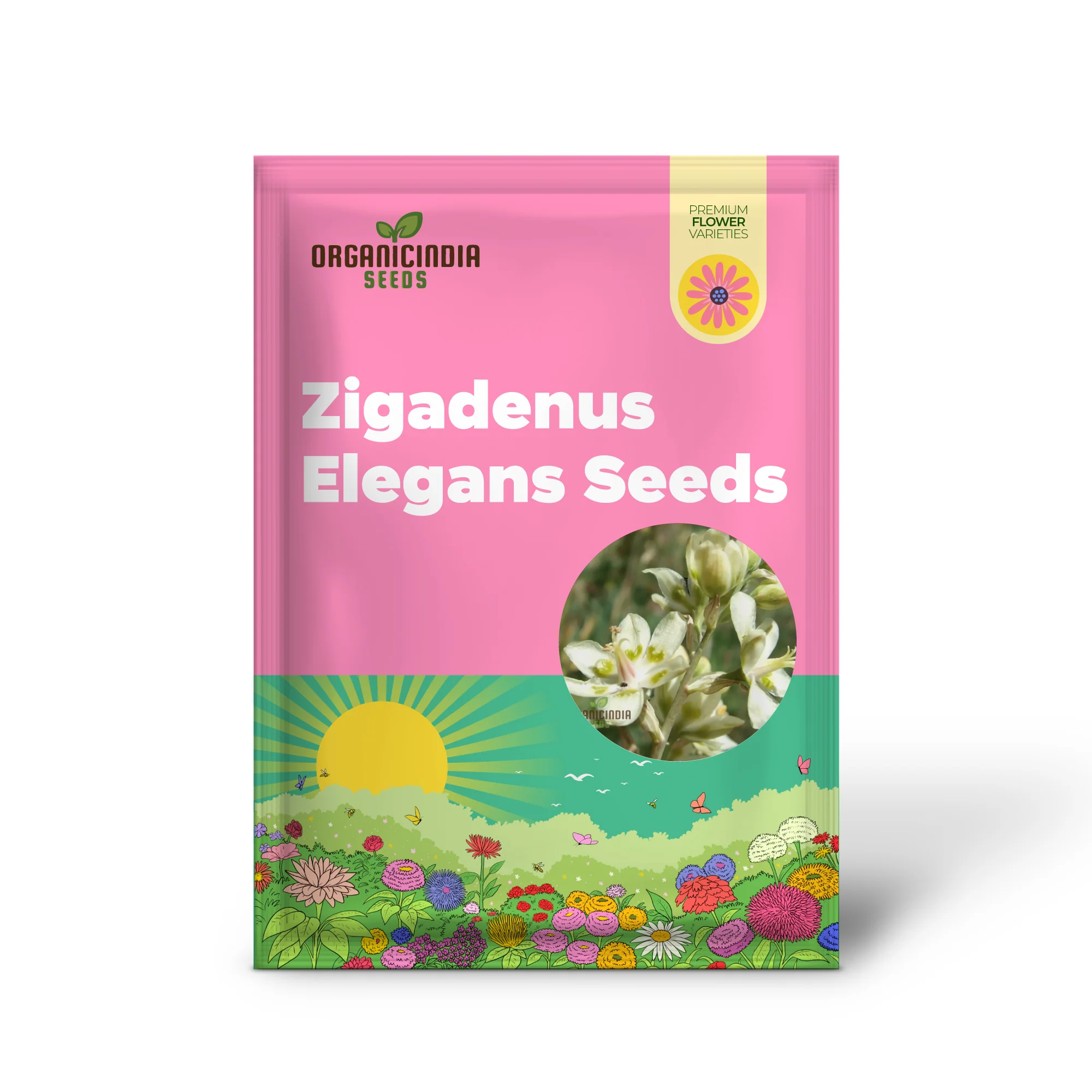 Zigadenus Elegans Seeds for Planting - Premium Quality, Easy to Grow, and Perfect for Your Garden - Image 2