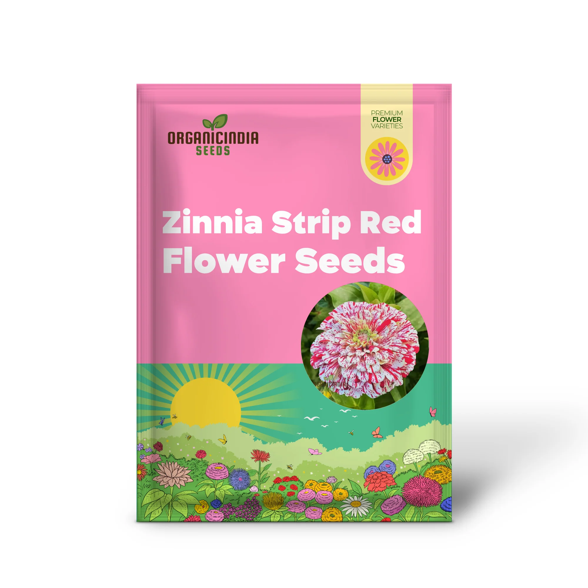 Zinnia Imported Strip red Flower Seeds, Vibrant Colors, Long Blooming Season, for Garden - Image 2