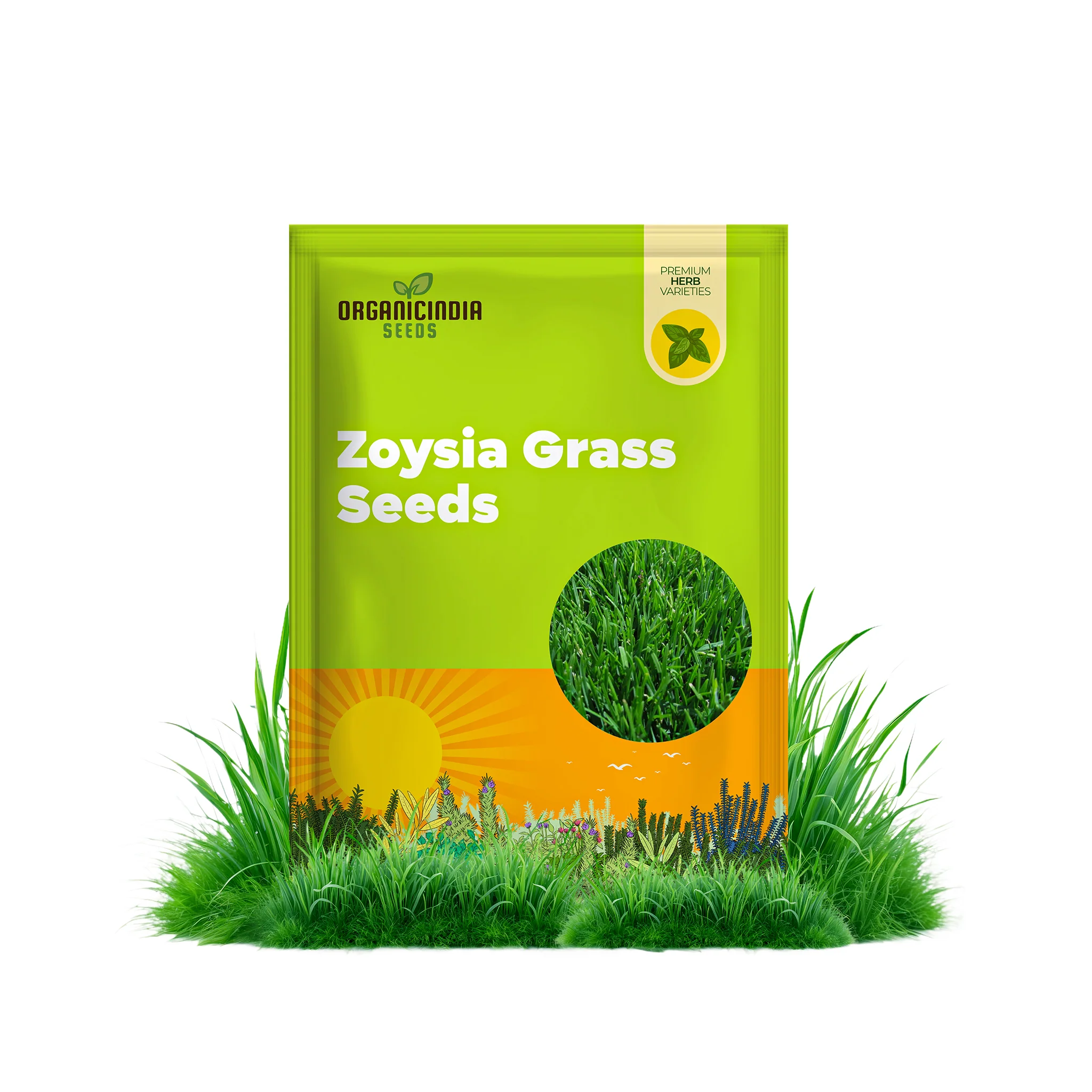 Zoysia Grass Seeds – Premium Turf Grass for Lawns, Golf Courses & Landscaping
